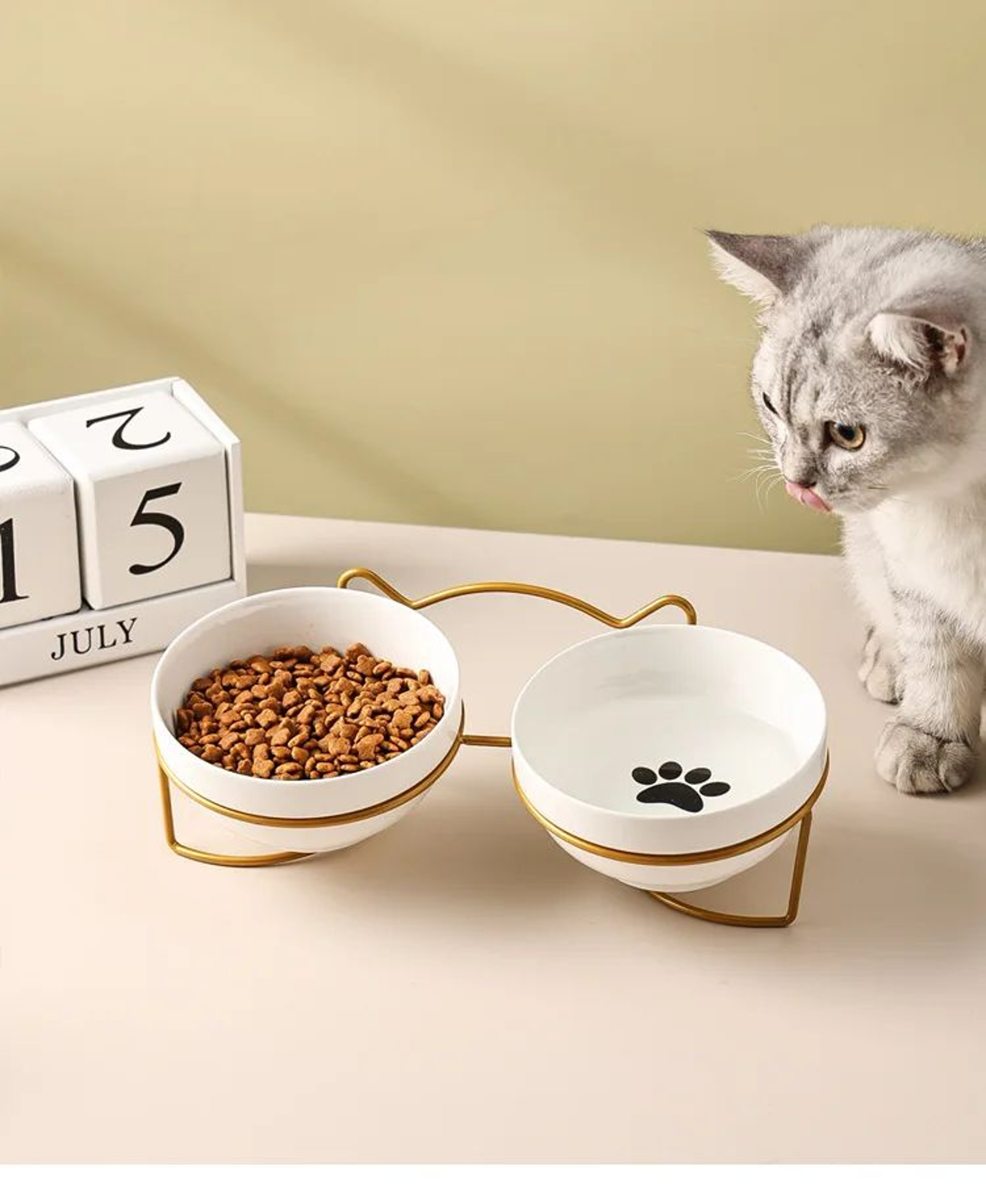 Ceramic Double Elevated Cat And Dog Bowl 5