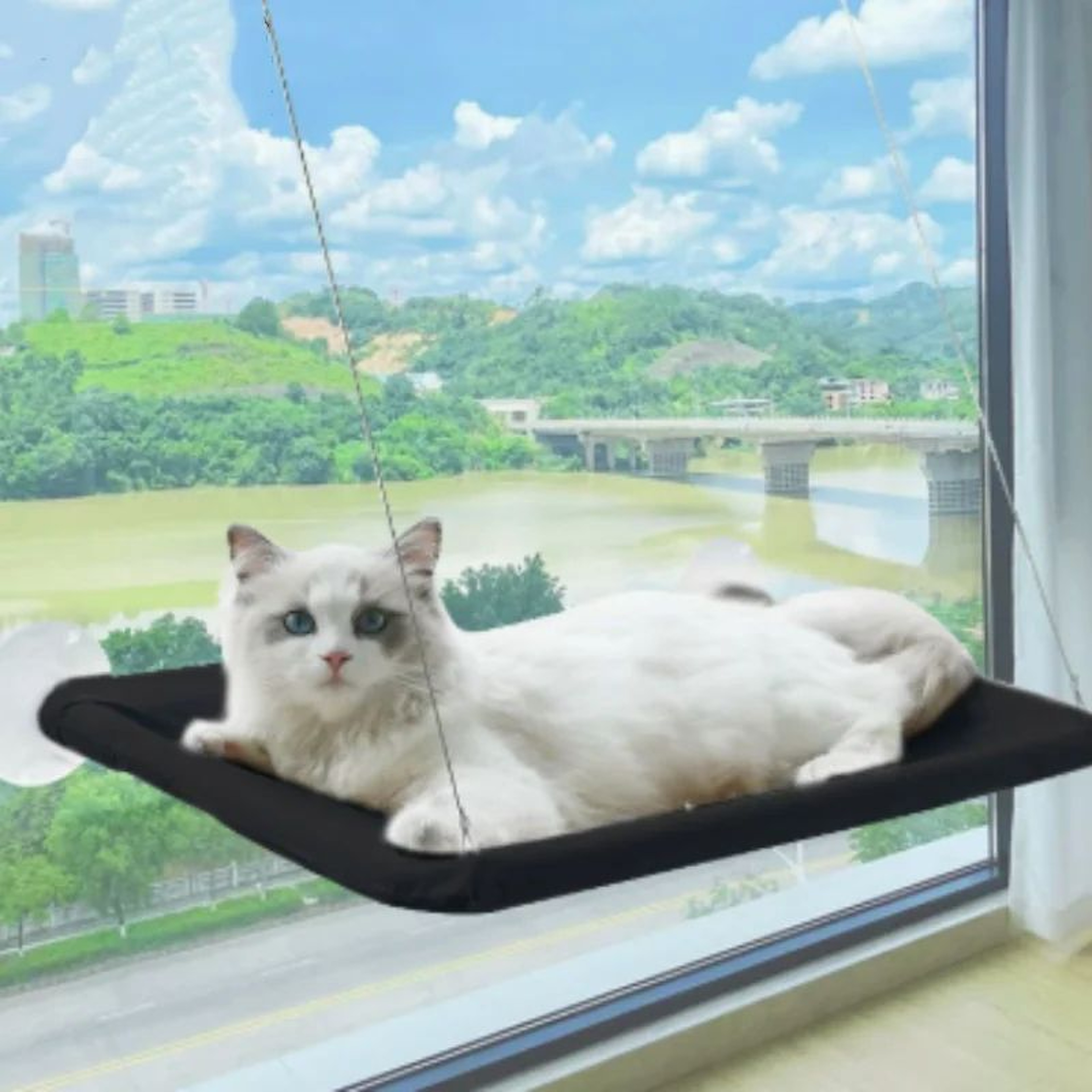 Sunny Window Cat Hammock Bed With Strong Suction Support 10