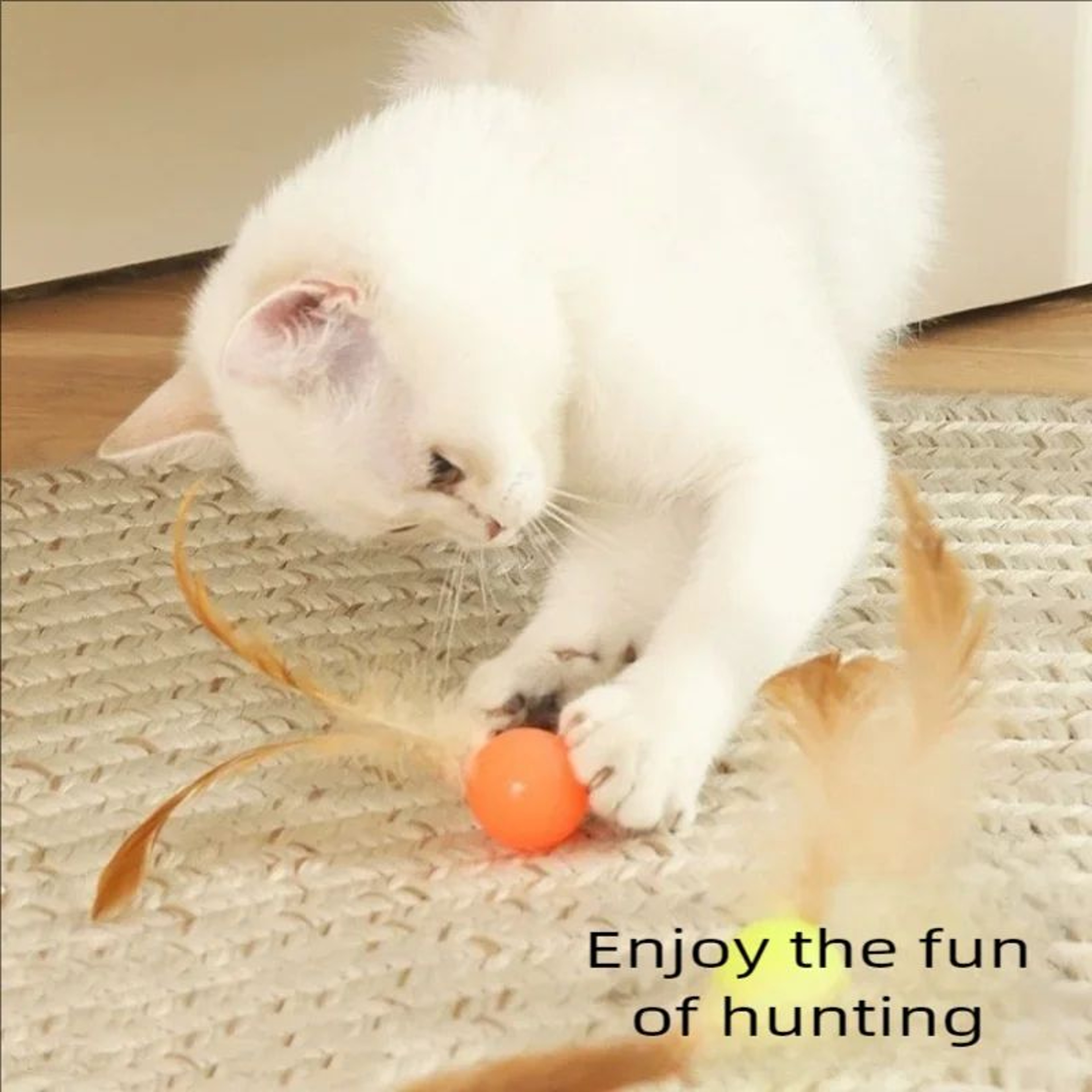 Interactive Elastic Ball Cat Toy With Feather 1