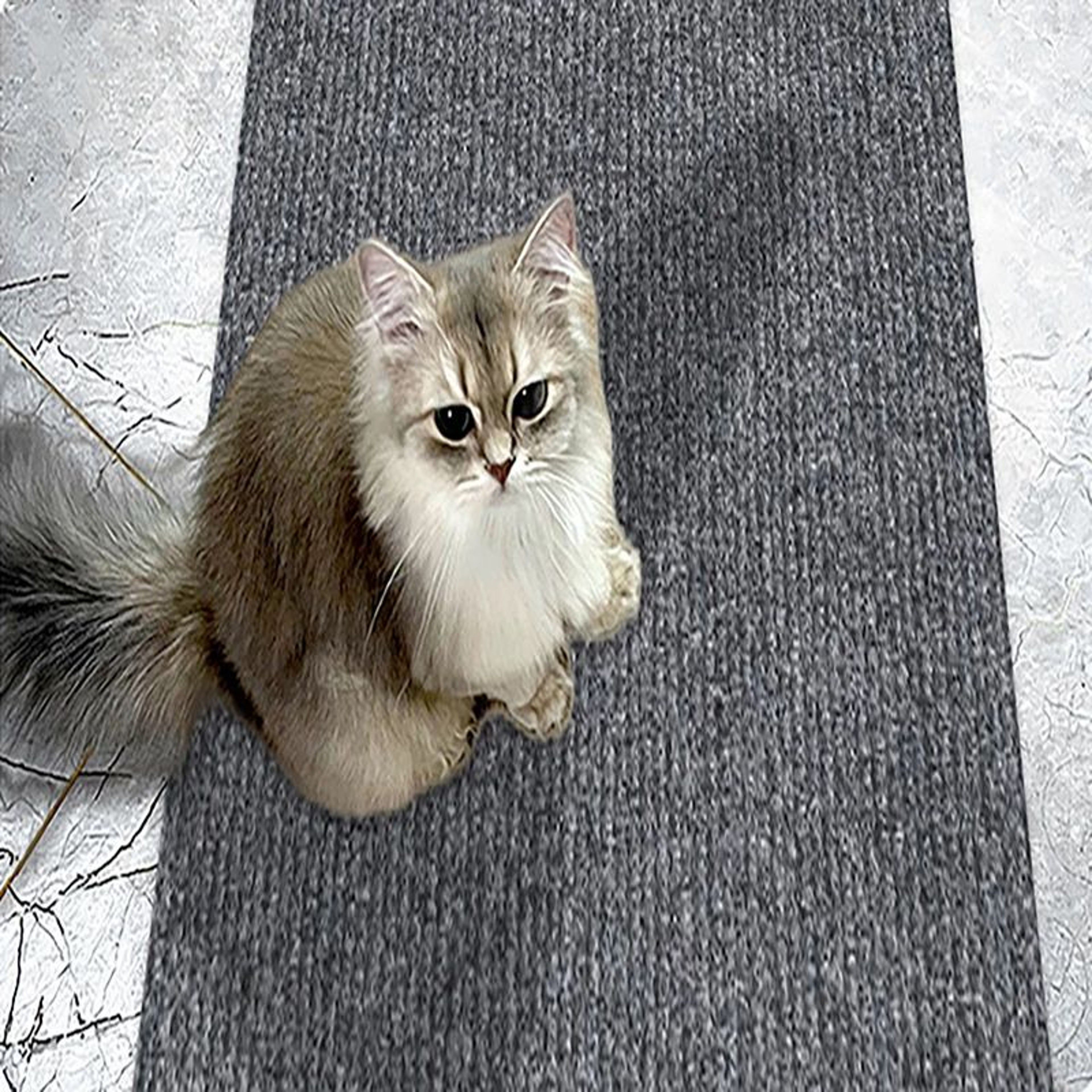 Self Adhesive Cat Scratching Wall Protector Mat 3