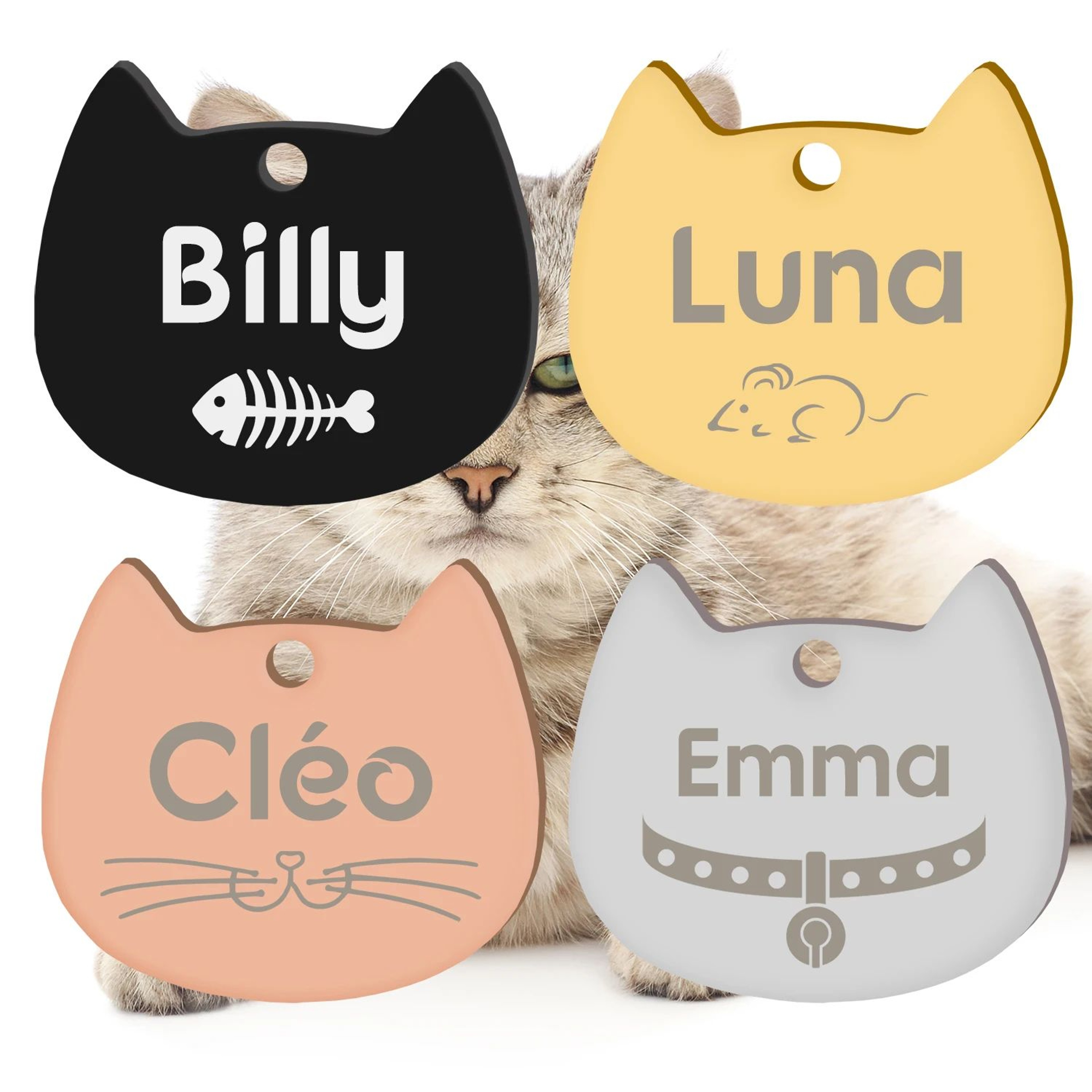 Personalized Stainless Steel Pet ID Tag With Engraving 2