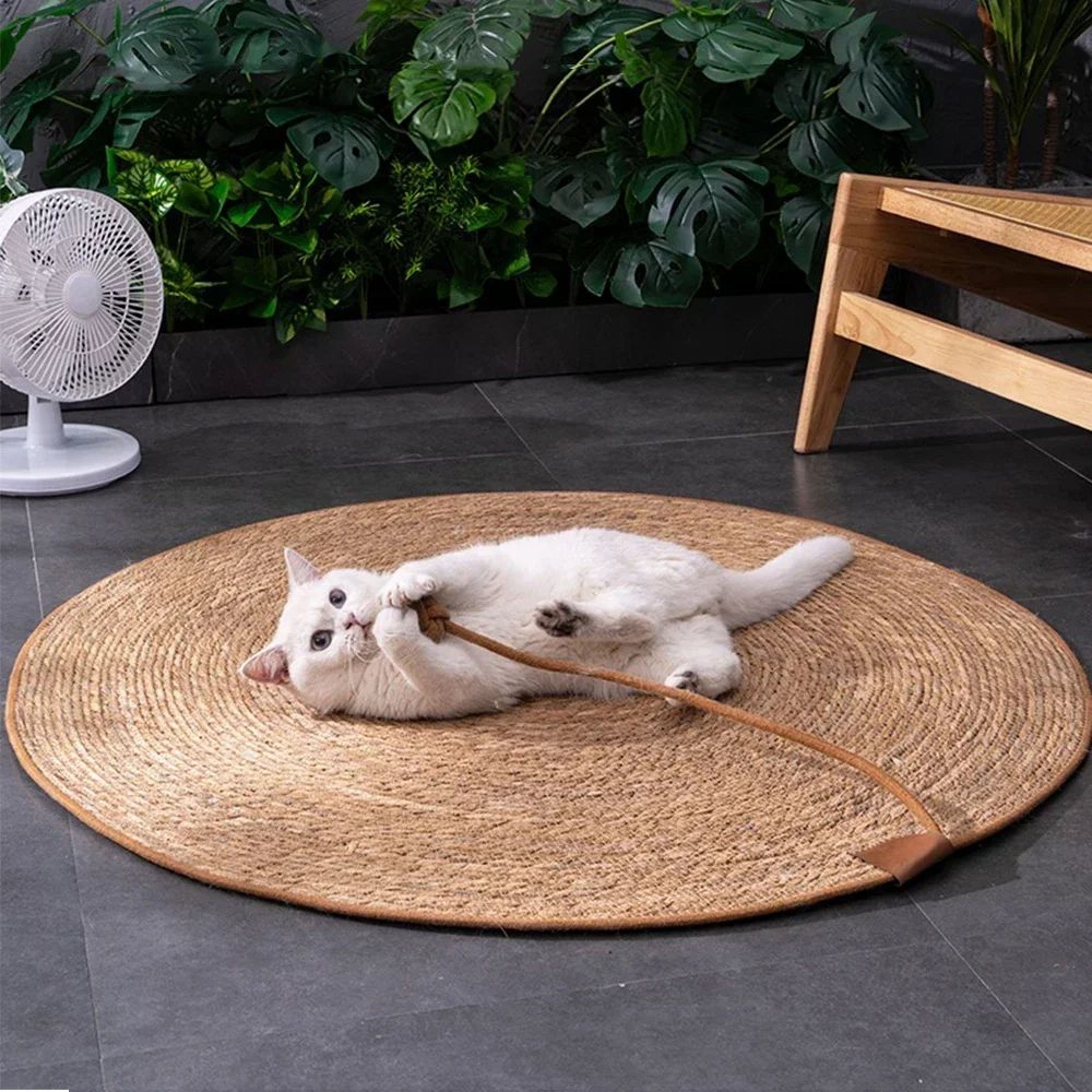 Natural Rattan Cat Scratching Mat 4
