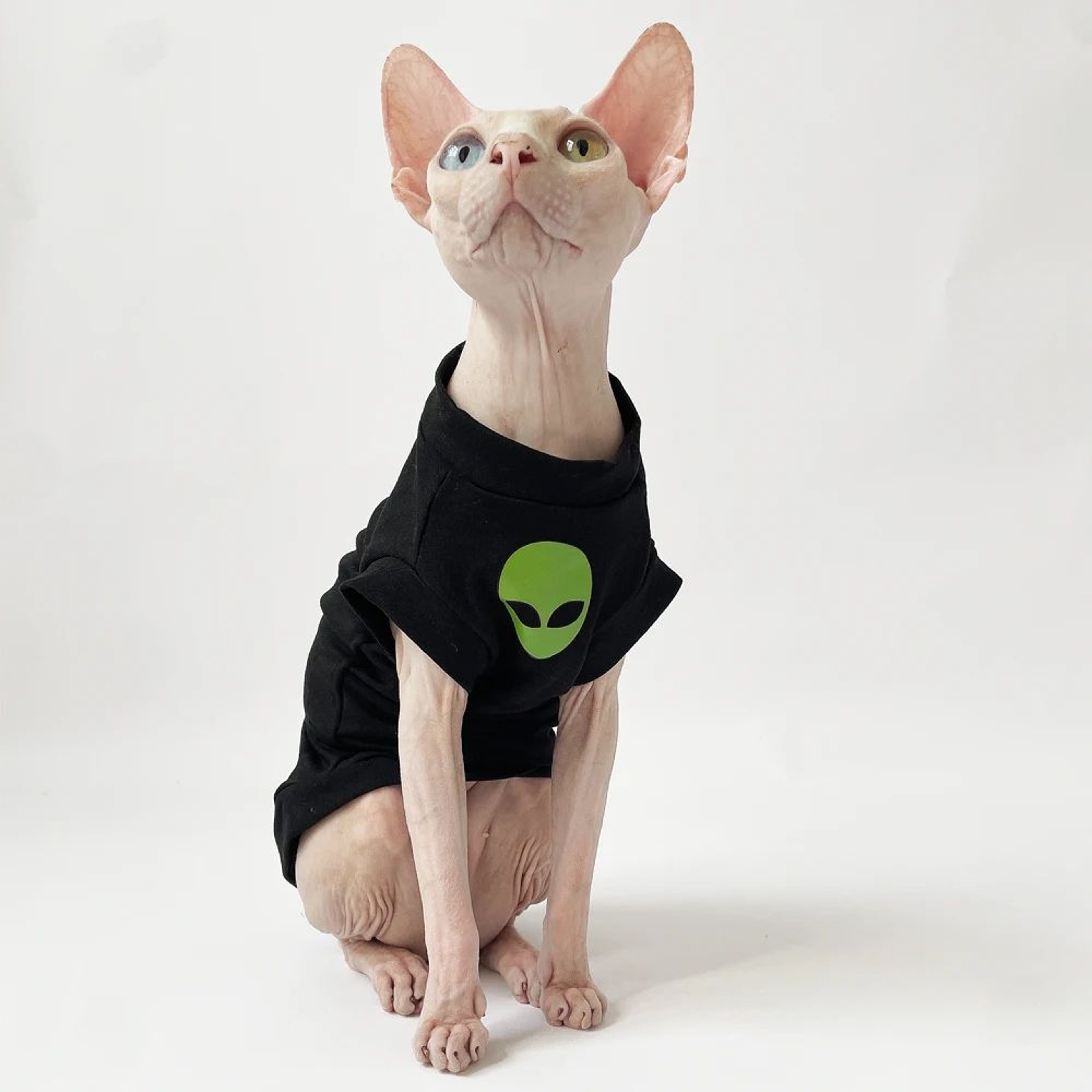 Soft Cotton Winter Shirt For Sphynx And Devon Rex Cats 2