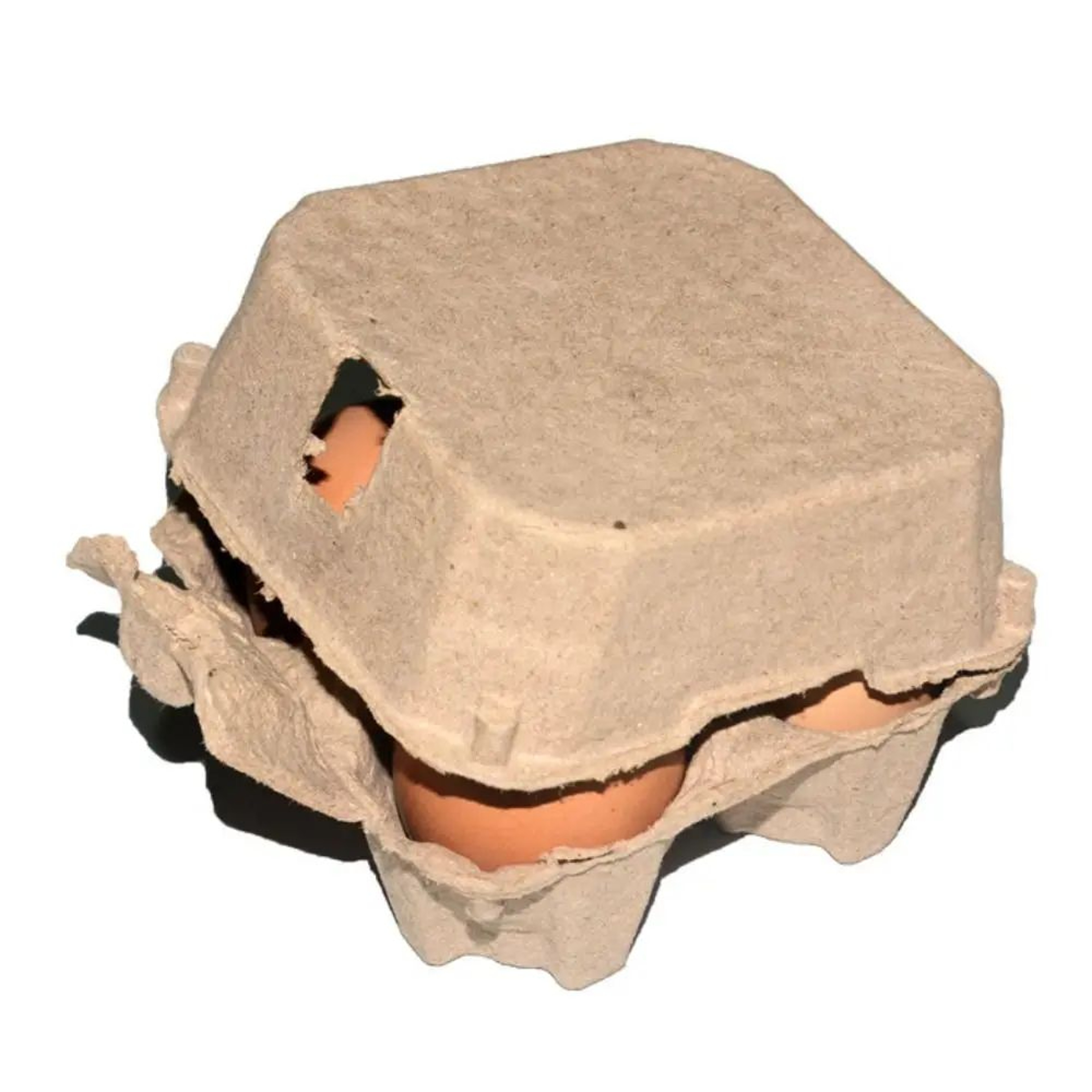 Kraft Pulp Egg Storage Carton Box 1