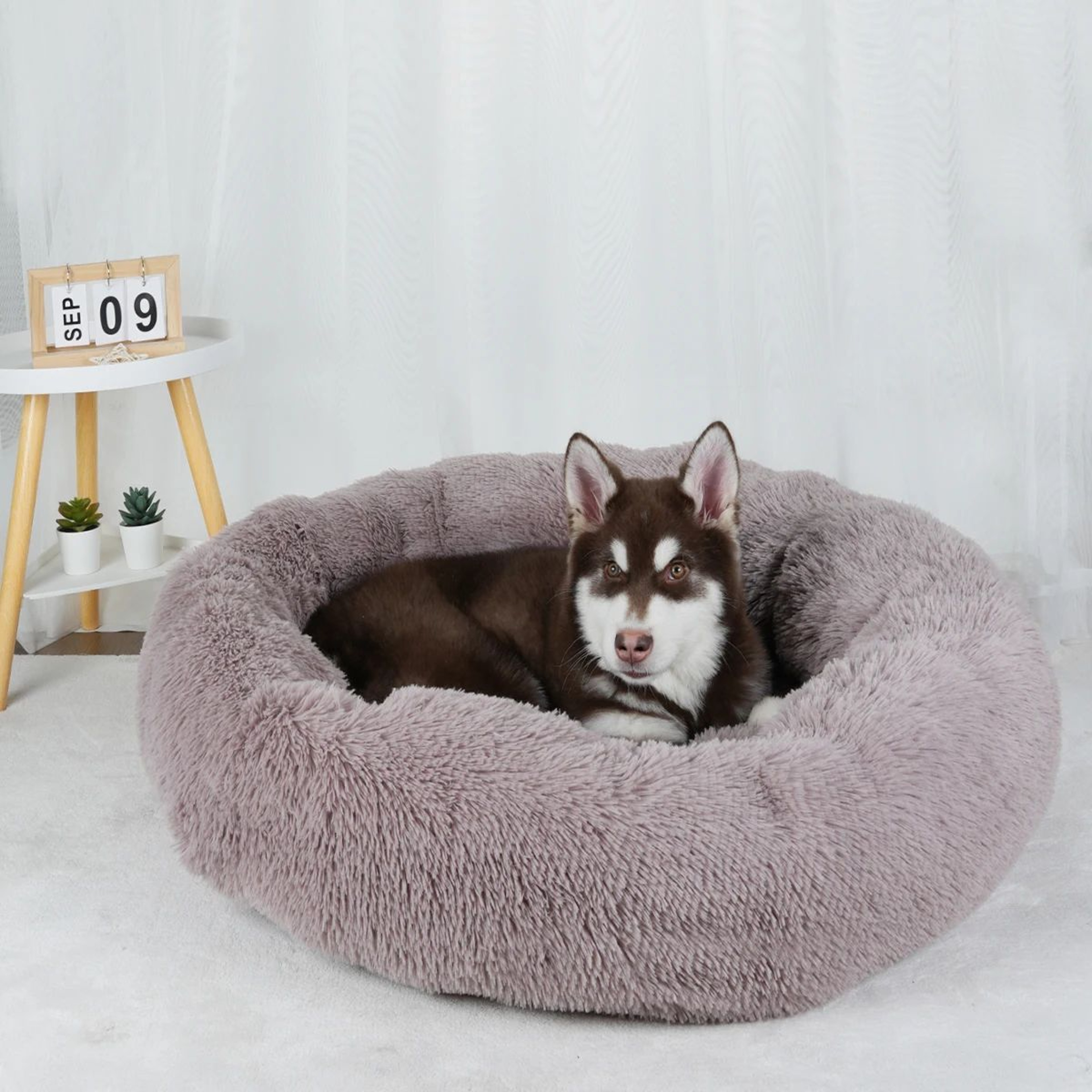 Plush Calming Dog Bed Washable Fluffy Pet Sofa 4