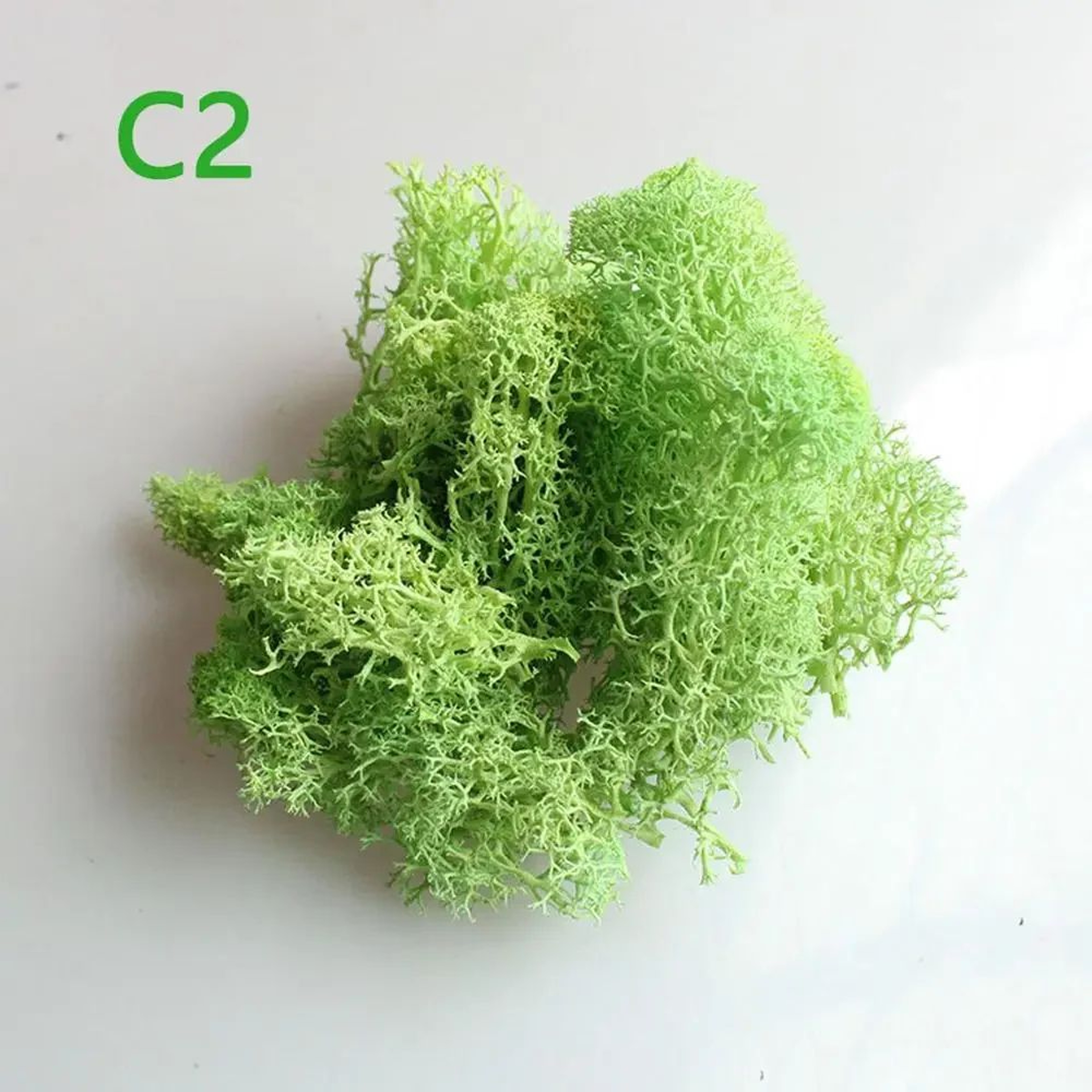 Artificial Eternal Life Moss DIY Decorative Greenery 6