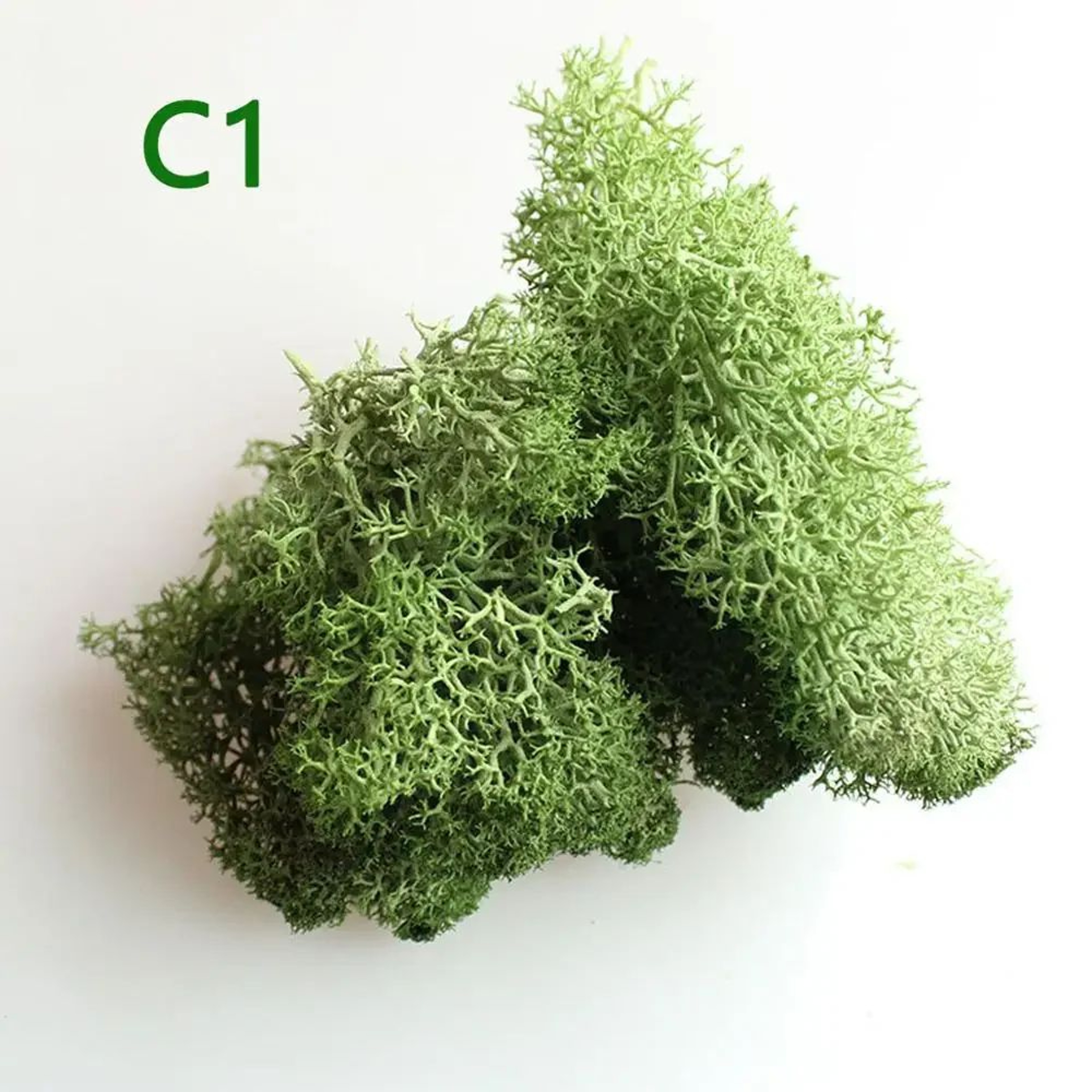 Artificial Eternal Life Moss DIY Decorative Greenery 7