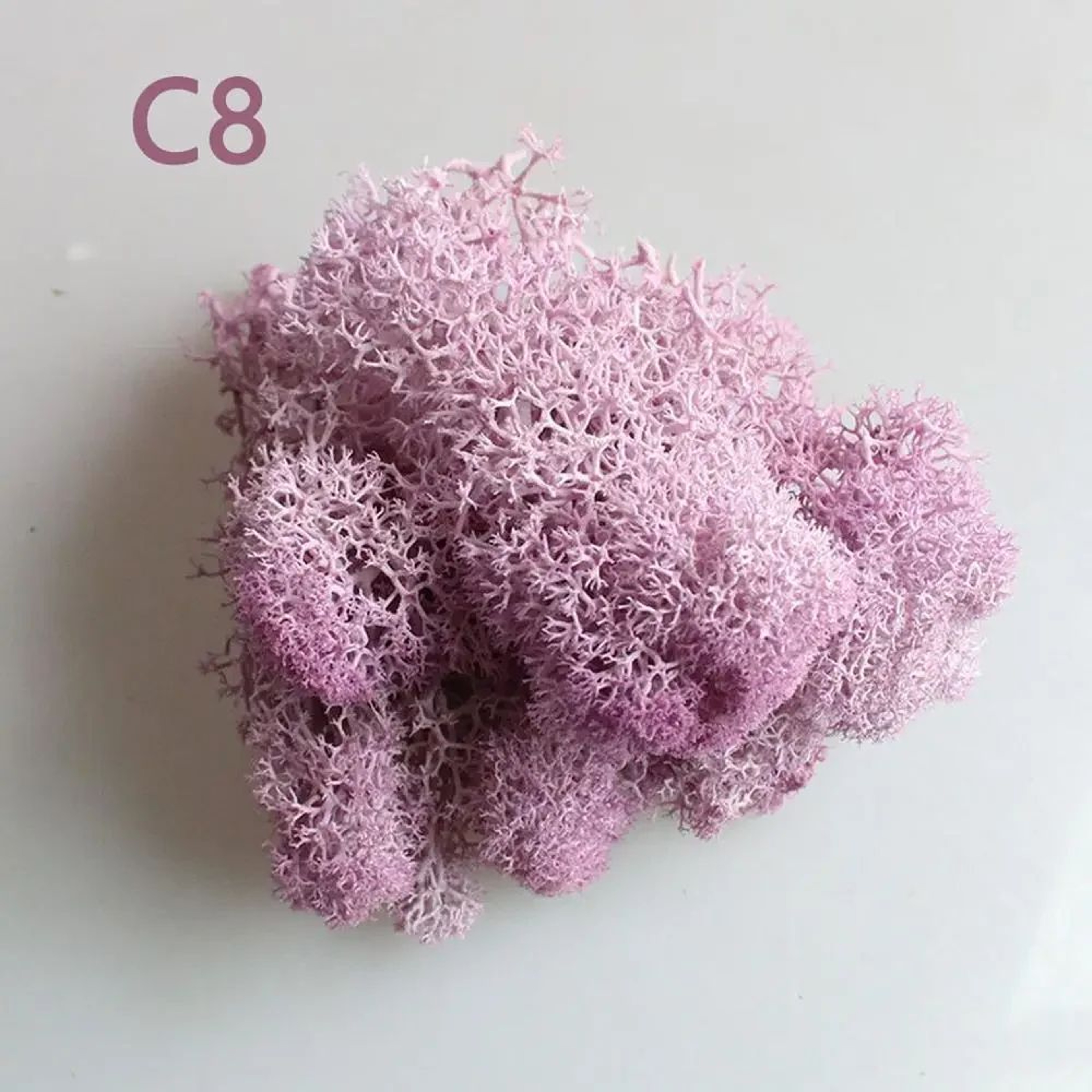 Artificial Eternal Life Moss DIY Decorative Greenery 12