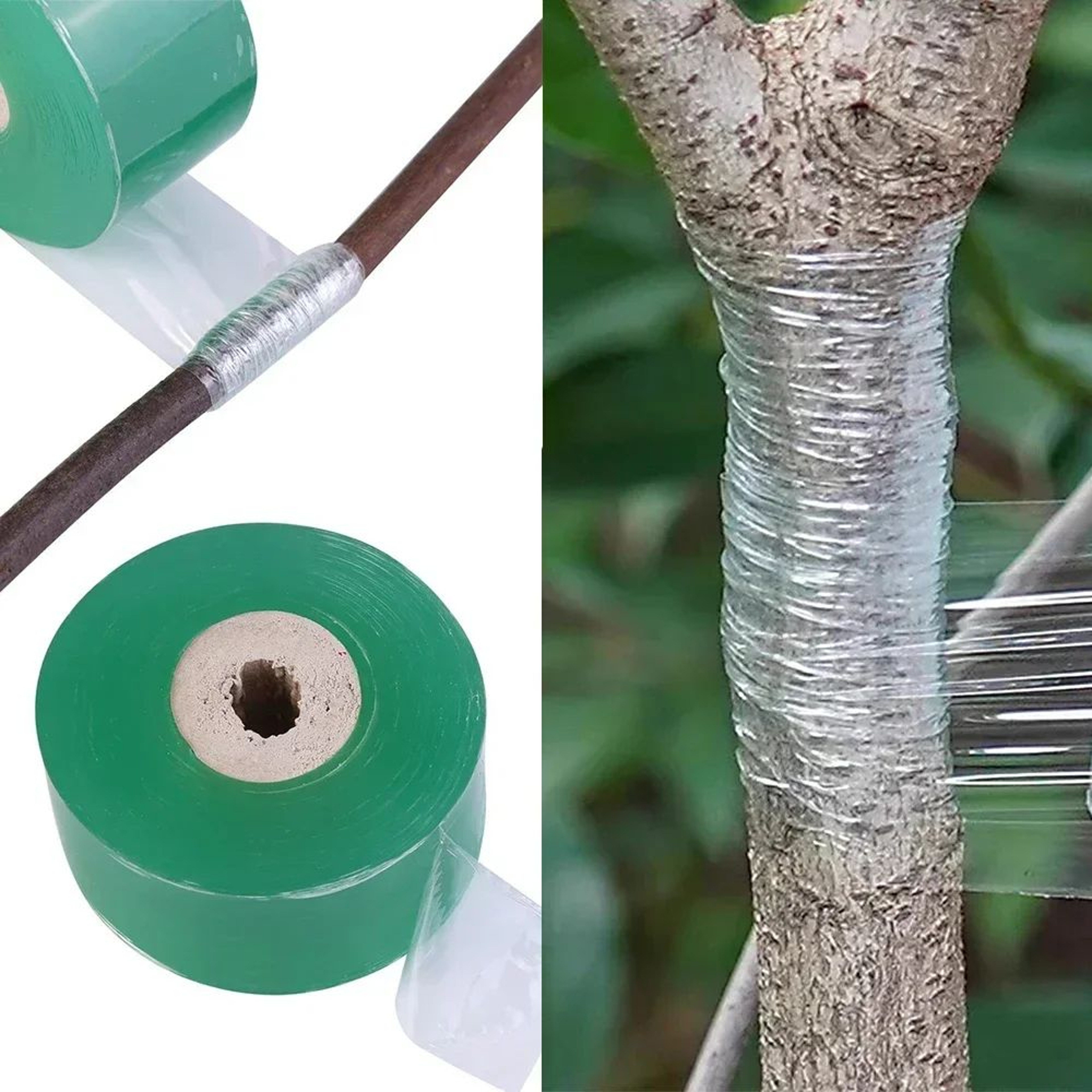 Self Adhesive PE Grafting Tape For Plants 6