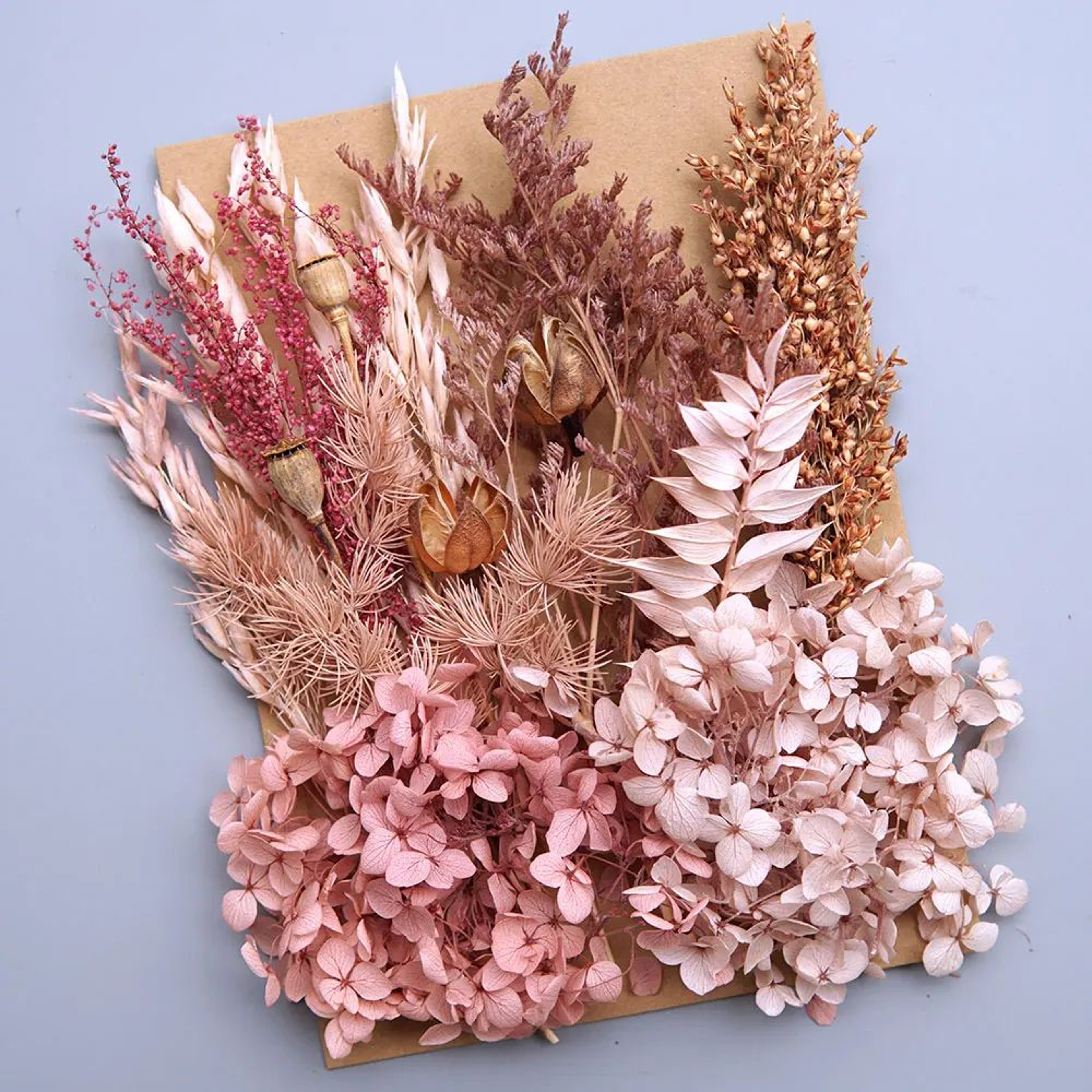 Preserved Dried Hydrangea Flowers For DIY Crafts 6