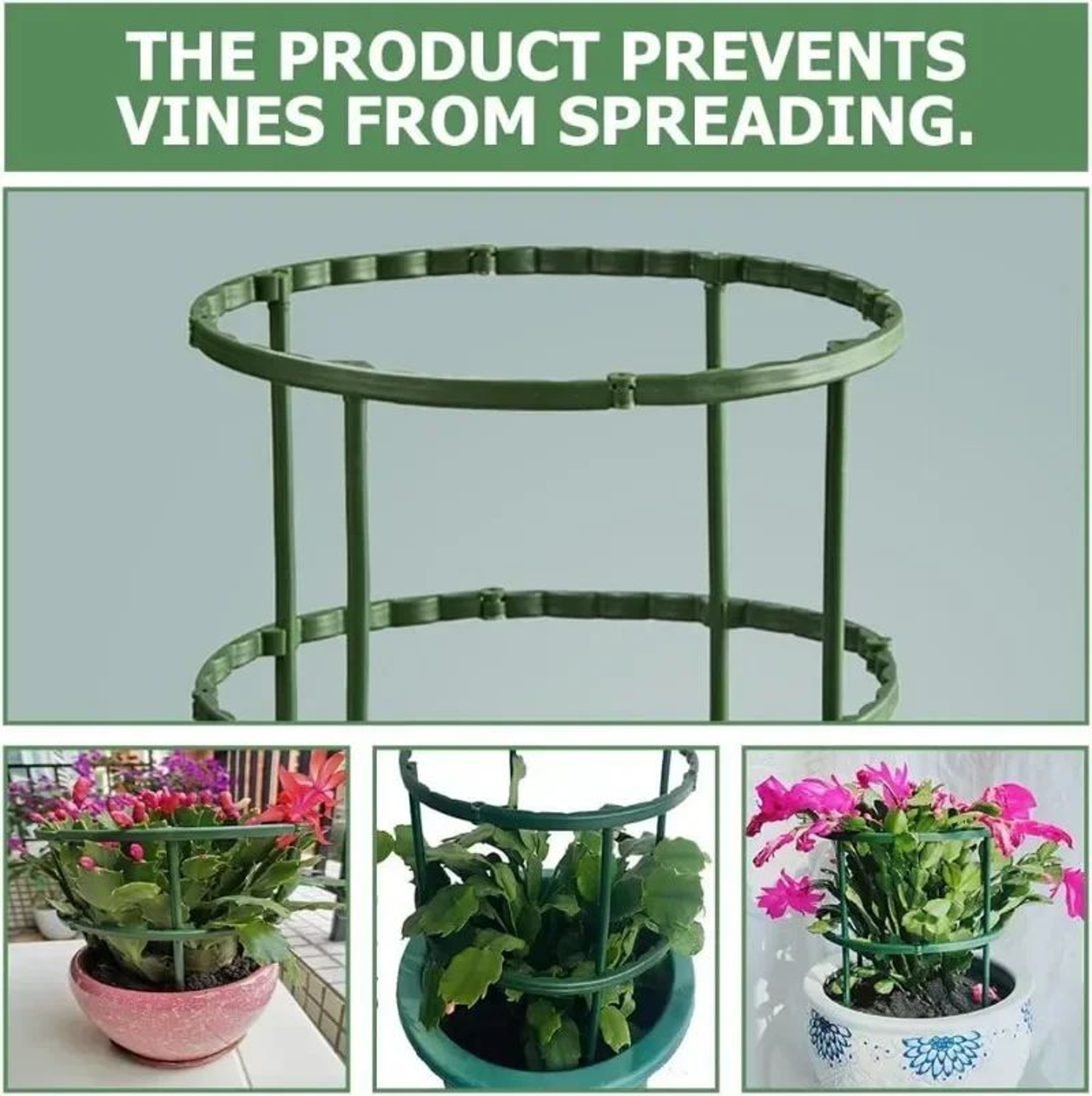 Semicircle Plant Support Frame For Climbing Plants 4