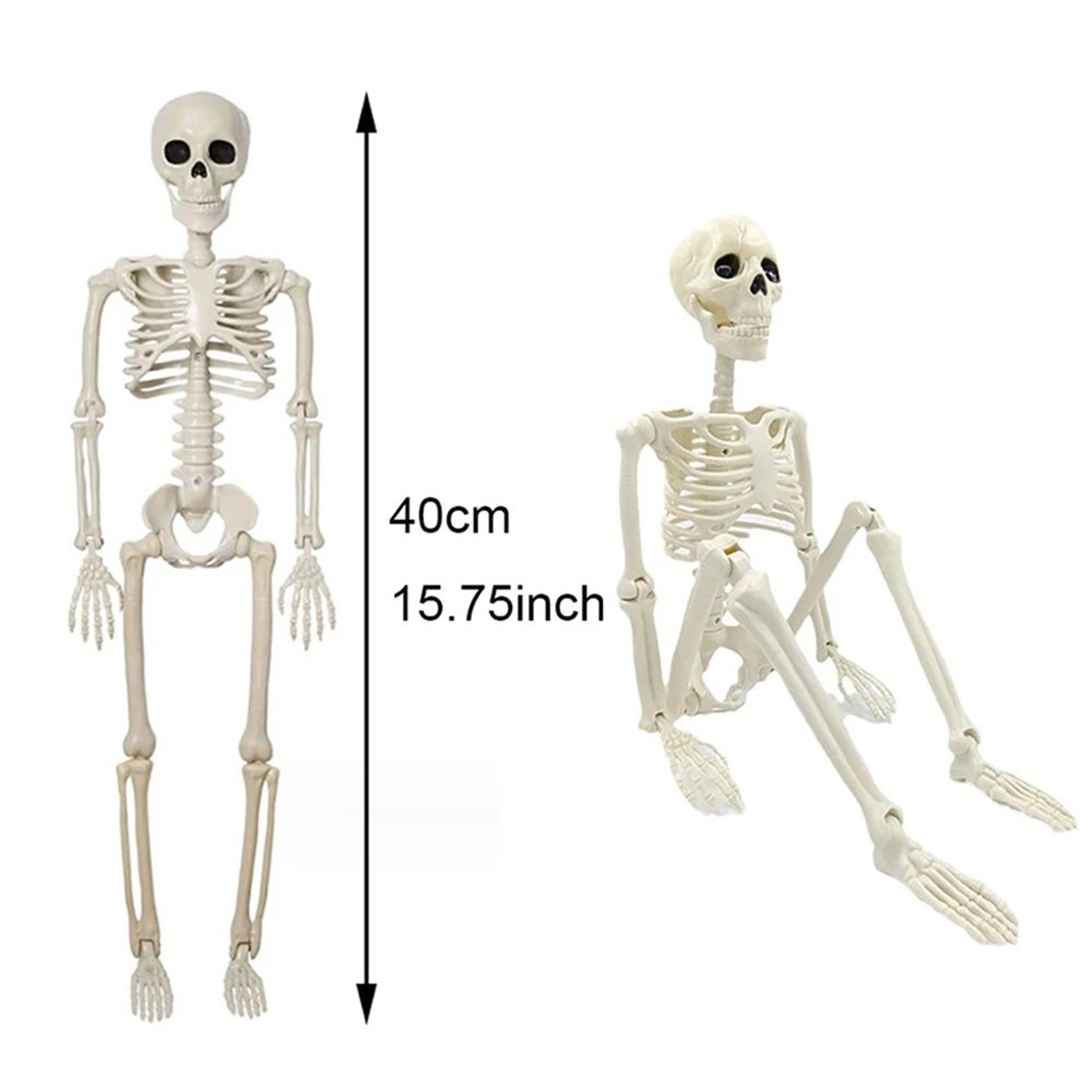 Halloween Posable Human Skeleton Decoration Horror Party Prop 3