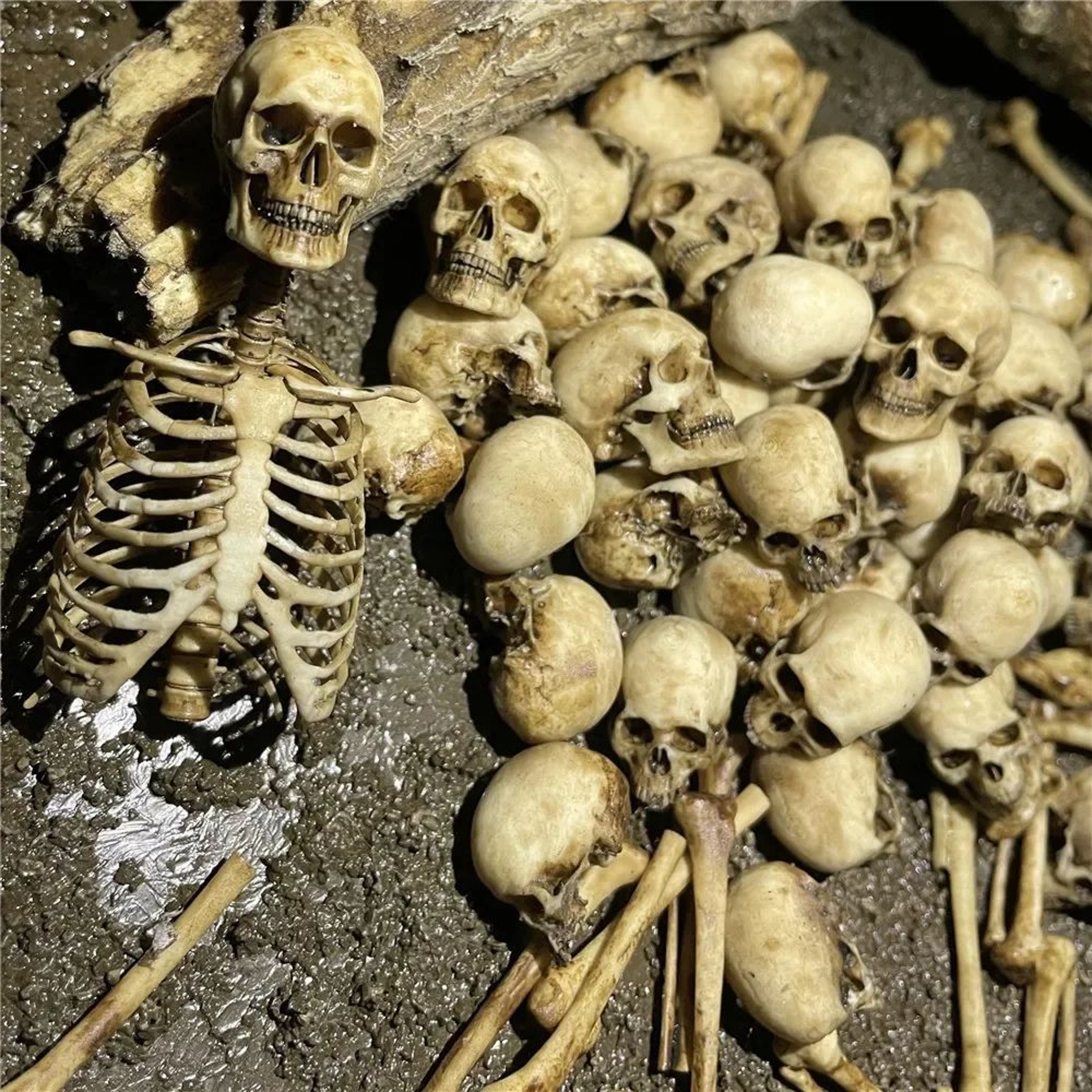 Mini Skeleton Skull Model 1 To 12 Scale Halloween Decoration 2