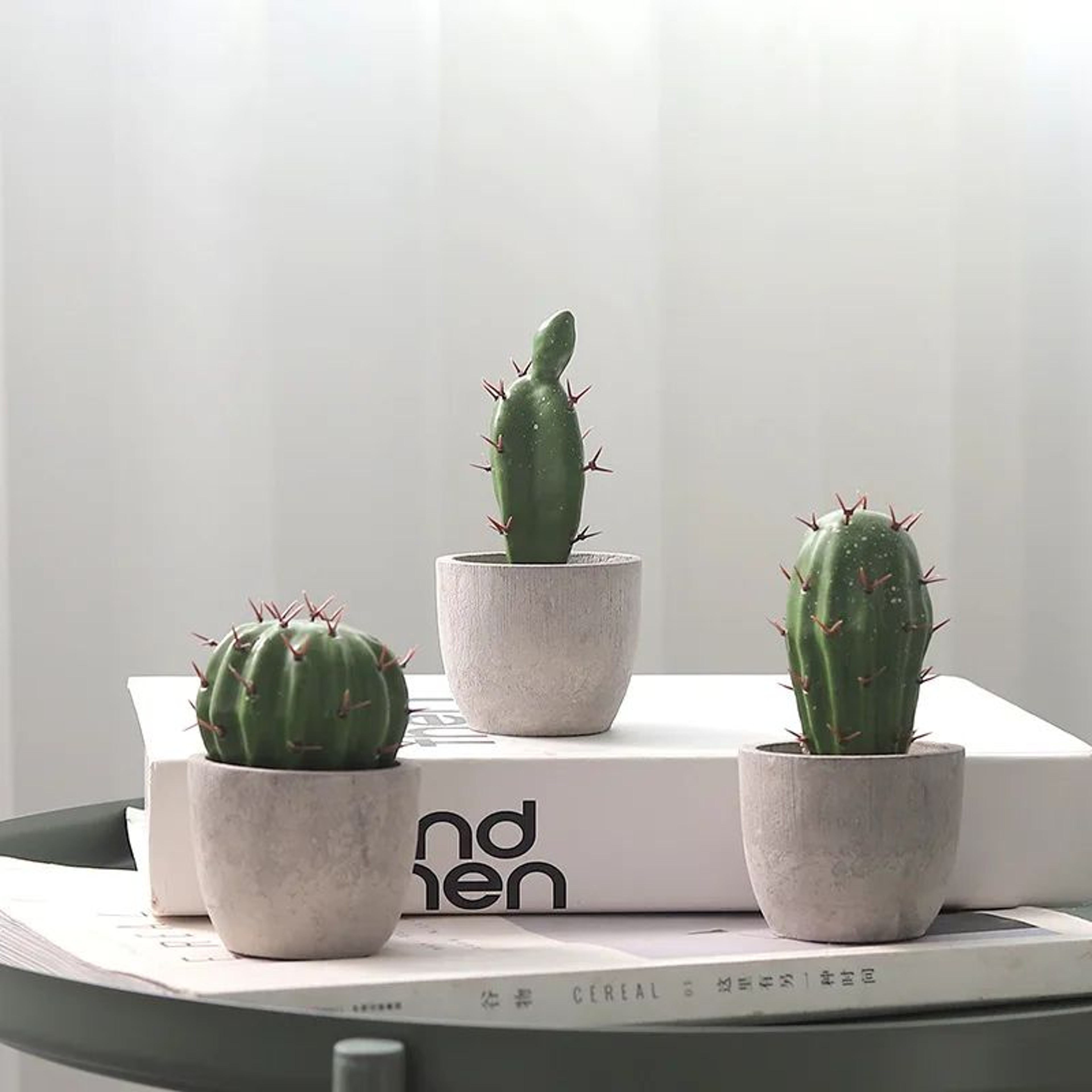 Artificial Cactus Ball Potted Plant Decor 3