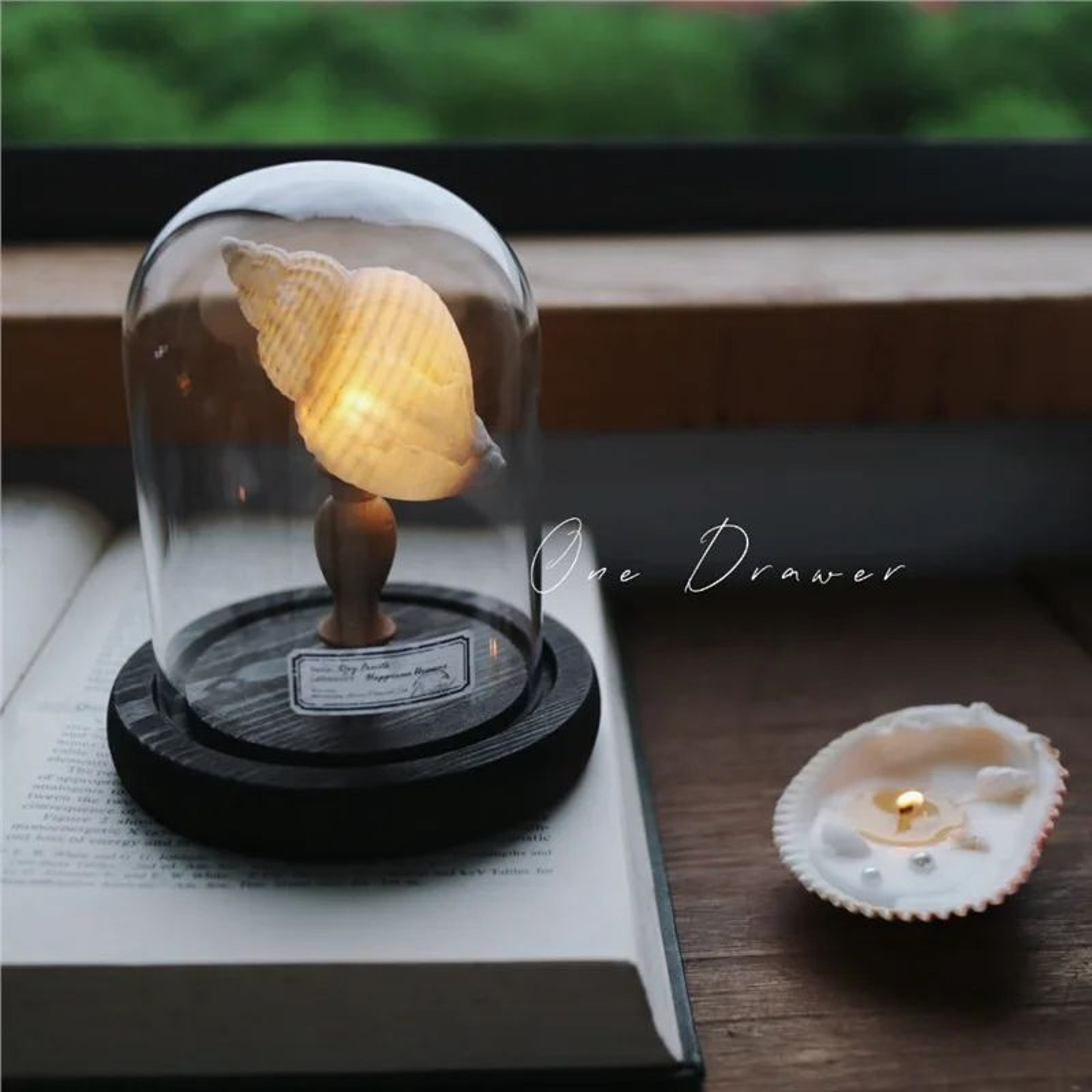 DIY Sea Creature Mushroom Night Light With Shell And Conch Decor 11