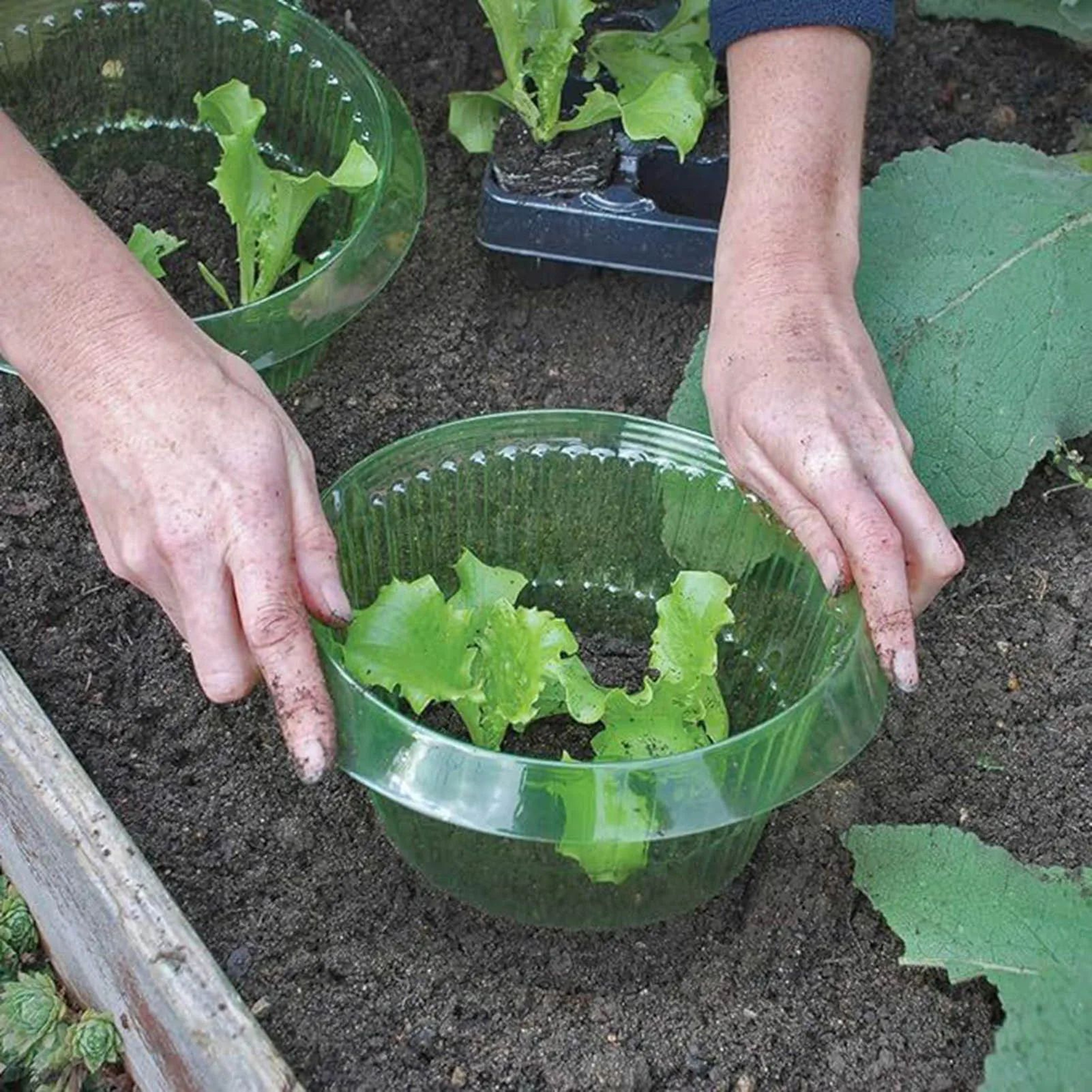 10 Piece Reusable Snail Collar Garden Plant Protection Rings 0