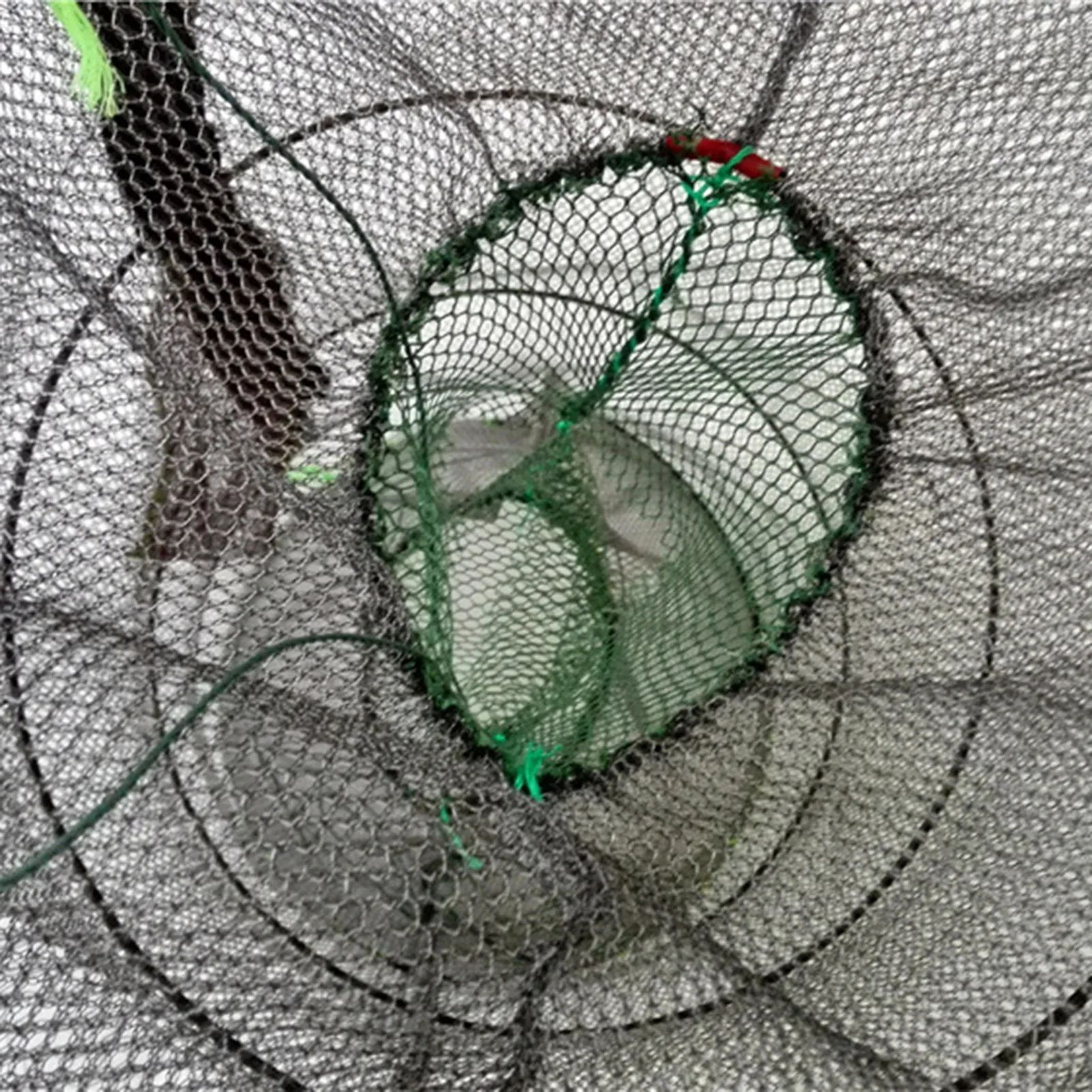 Portable Multi Layer Foldable Nylon Fishing Net Cage 5