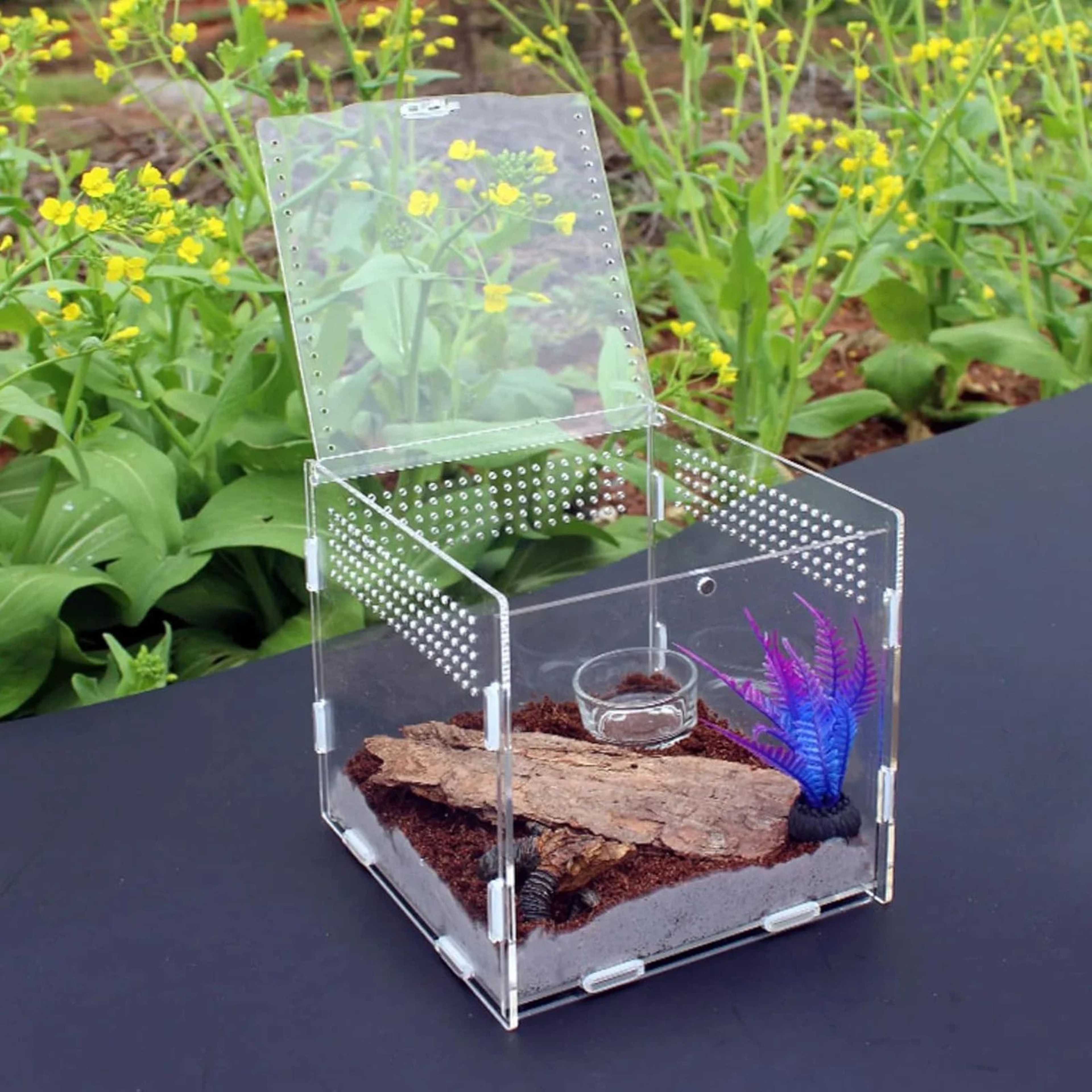 Clear Acrylic Stackable Reptile Feeding And Habitat Box 0