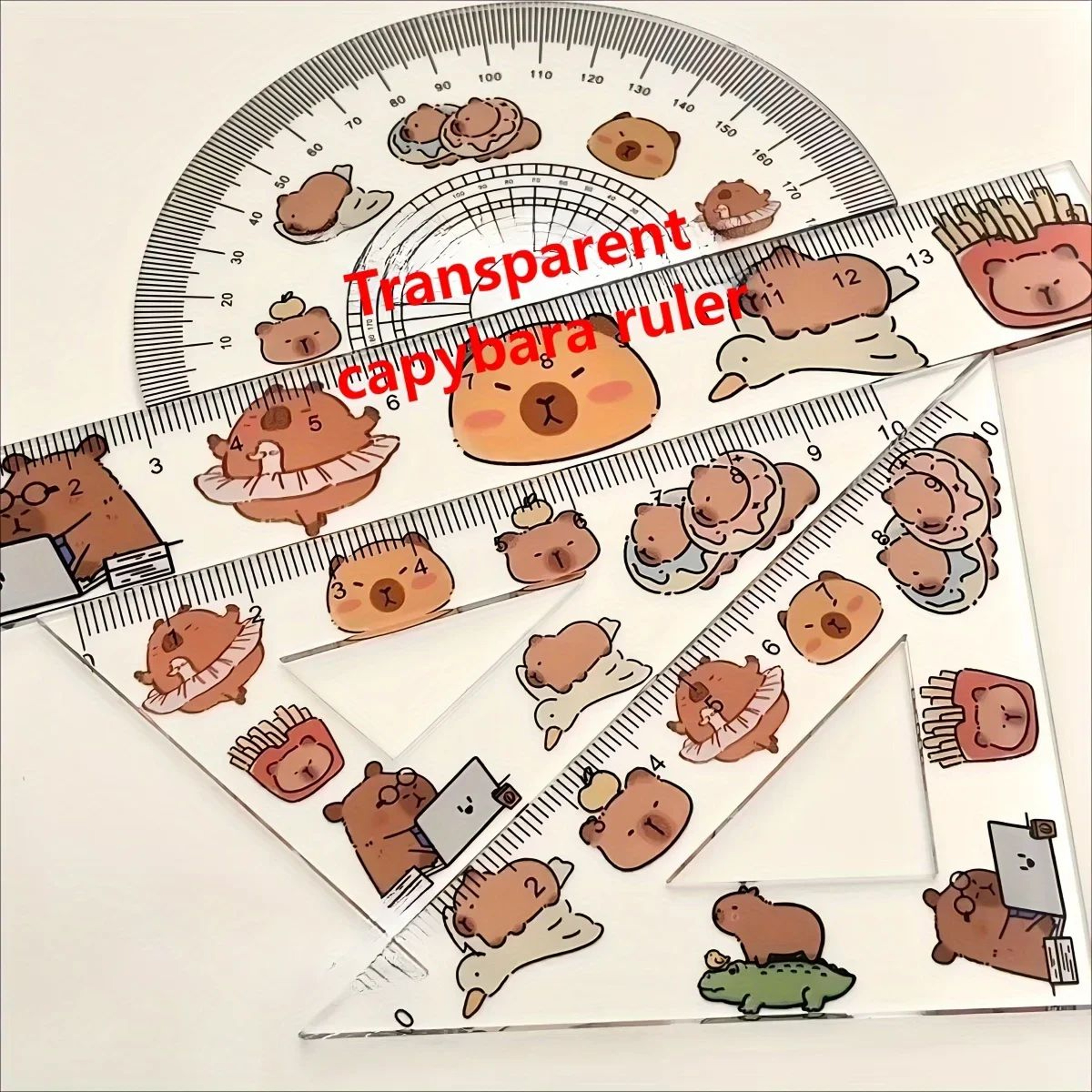 4 Piece Transparent Capybara Geometry Ruler Set 1
