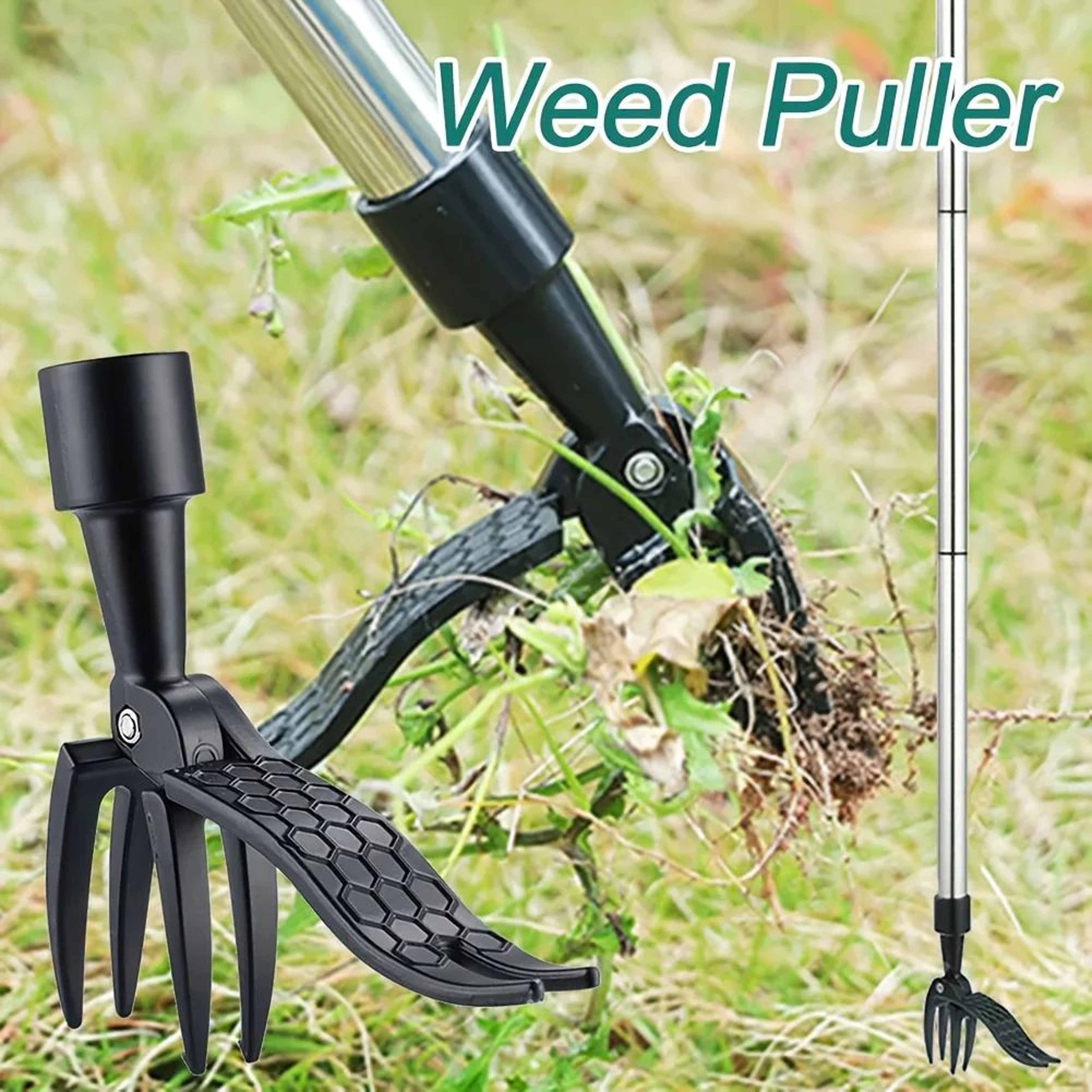 Heavy Duty 4 Claw Stand Up Weed Puller With Adjustable Height 5