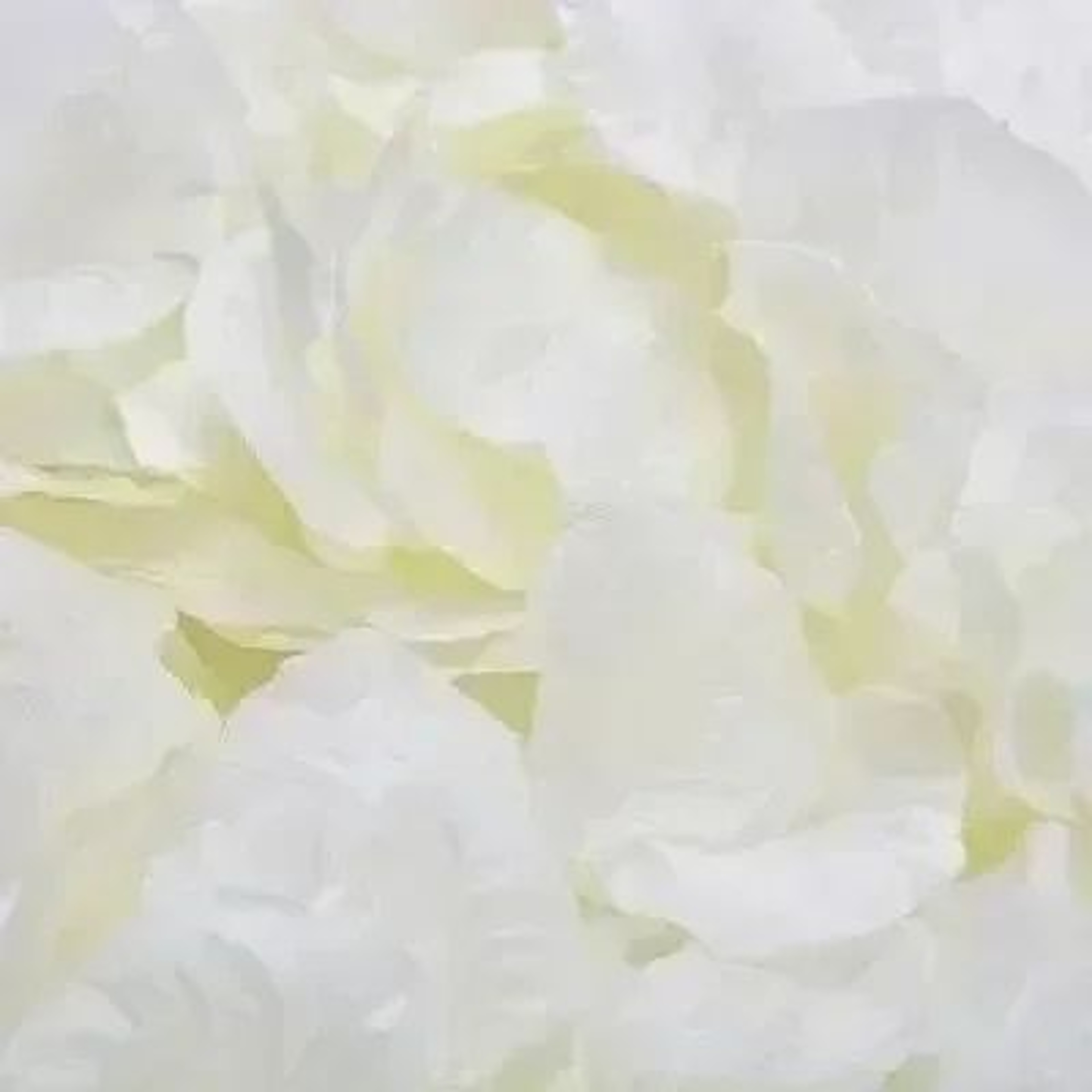 Artificial Red Rose Petals For Weddings And Romantic Party Decor 8