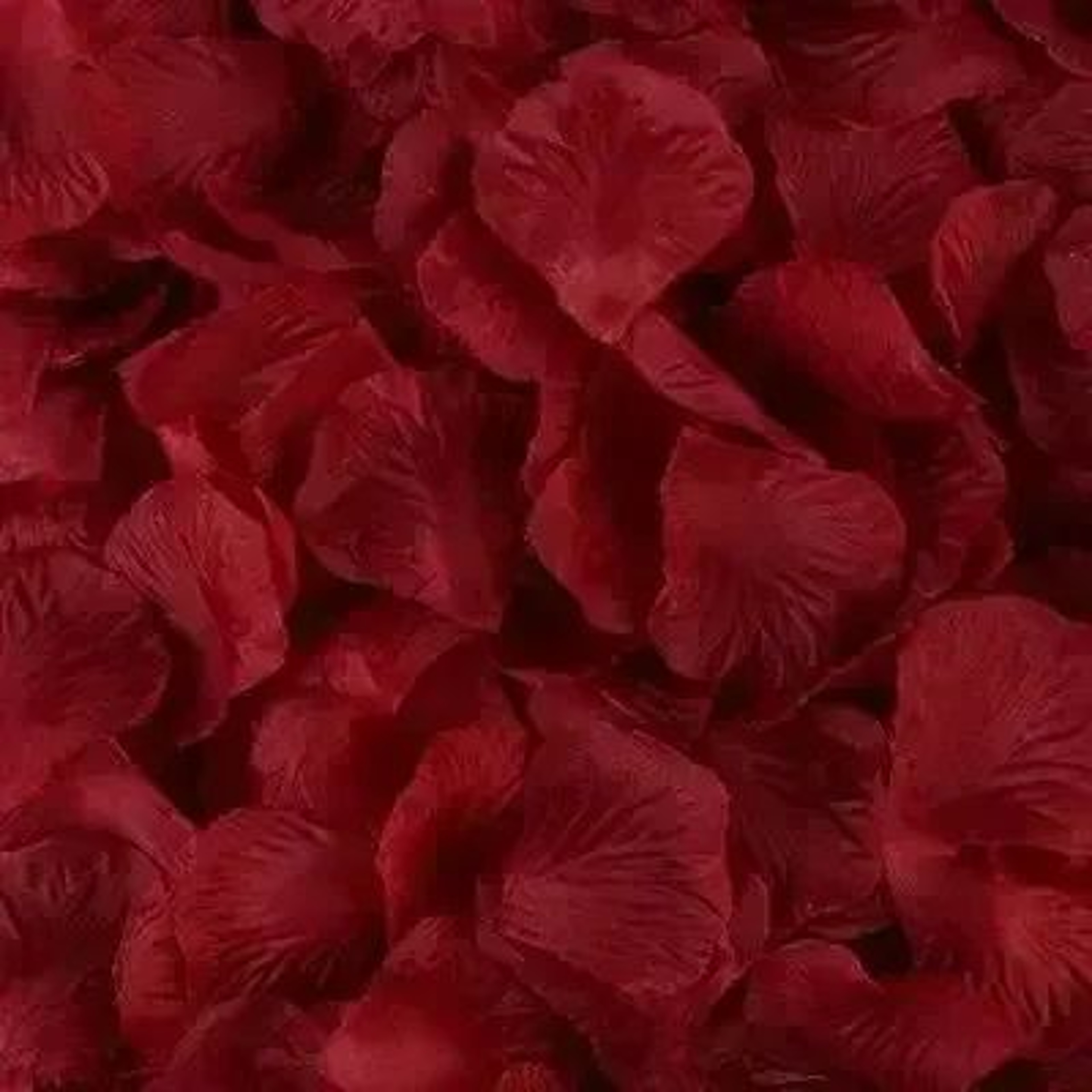 Artificial Red Rose Petals For Weddings And Romantic Party Decor 6