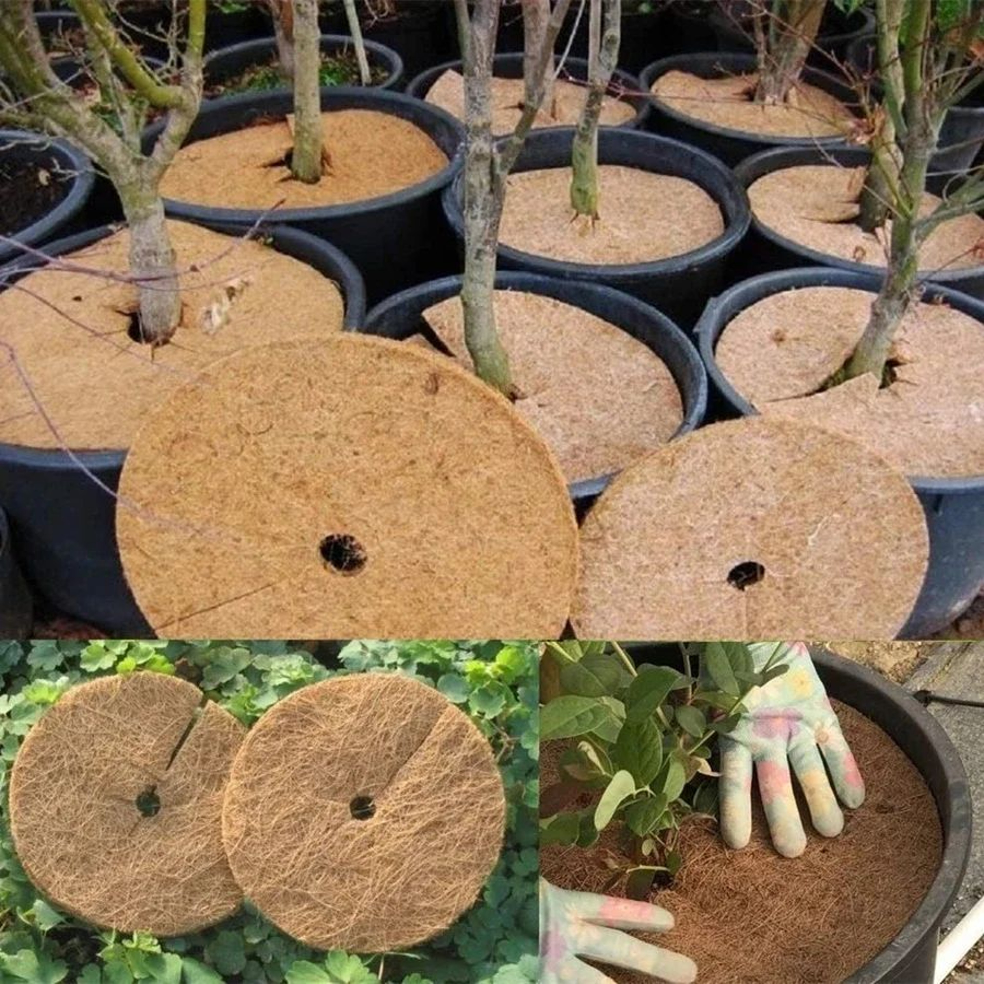 Natural Coco Coir Tree Mulch Rings For Weed Control Set Of 5 5