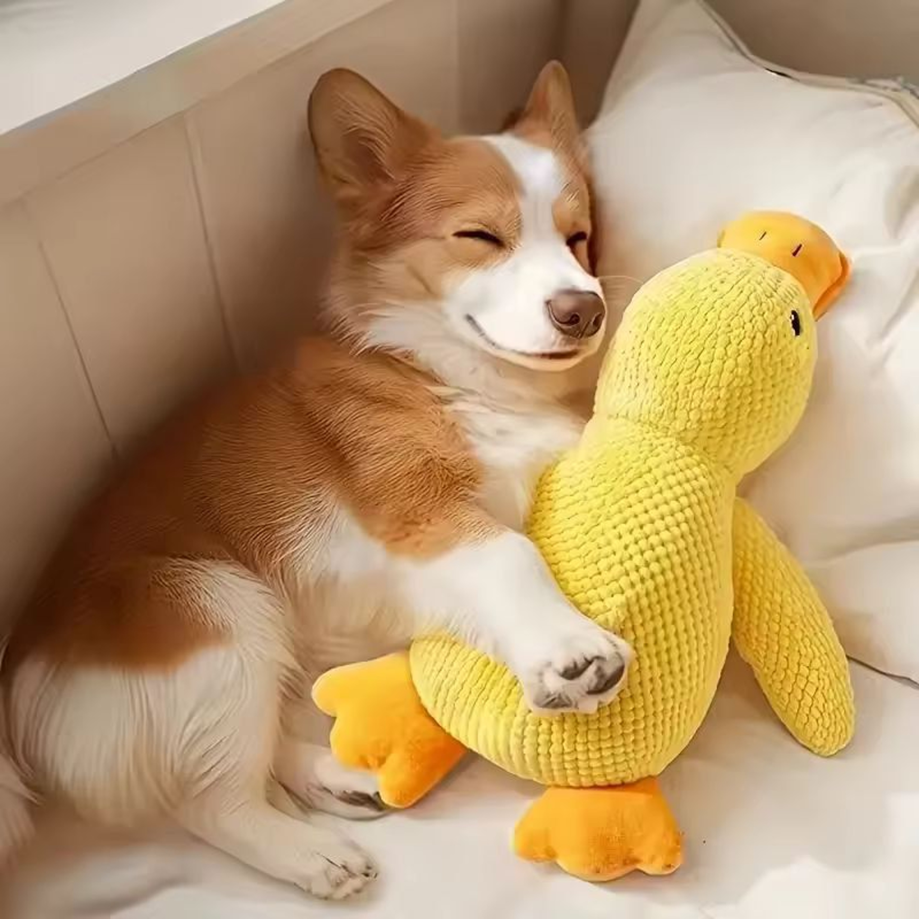 Durable Duck ChewResistant Squeaky Plush Toy For Dogs 2