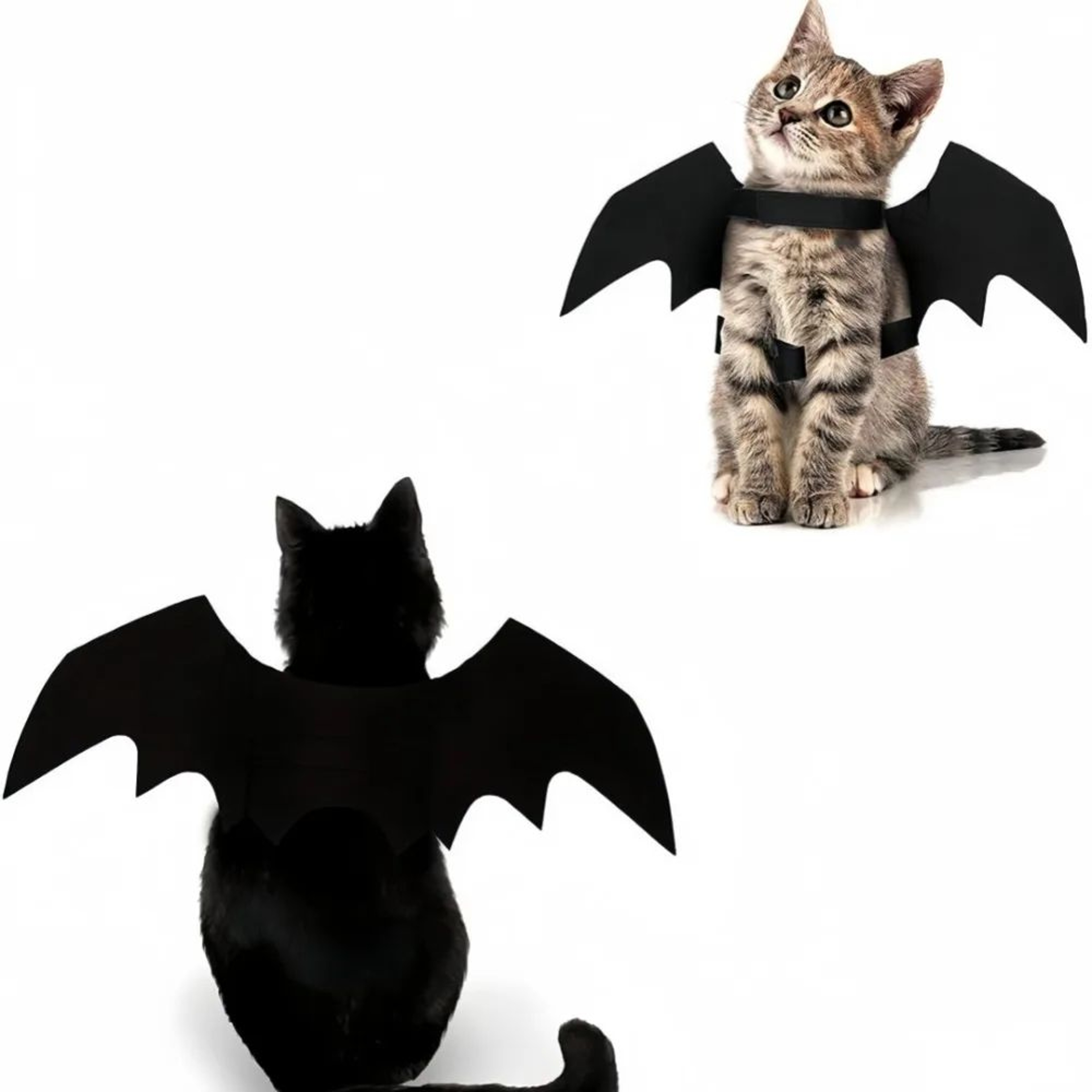 Bat Wing Costume Harness For Small Cats  Dogs  Soft Felt Spooky Wings 0