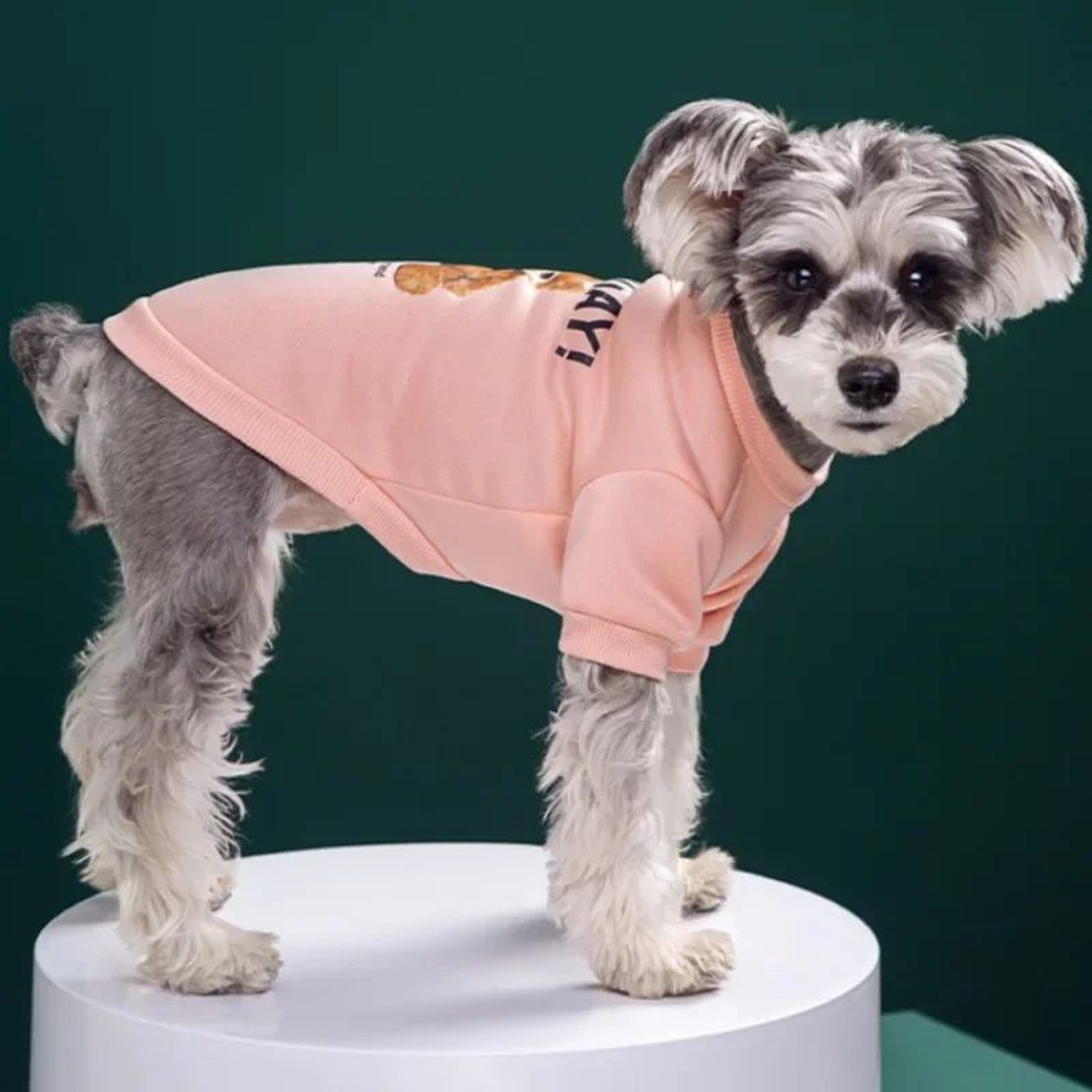Cozy Bear Winter Dog Sweater  Warm Pullover Jacket For Small  Medium Pets 2