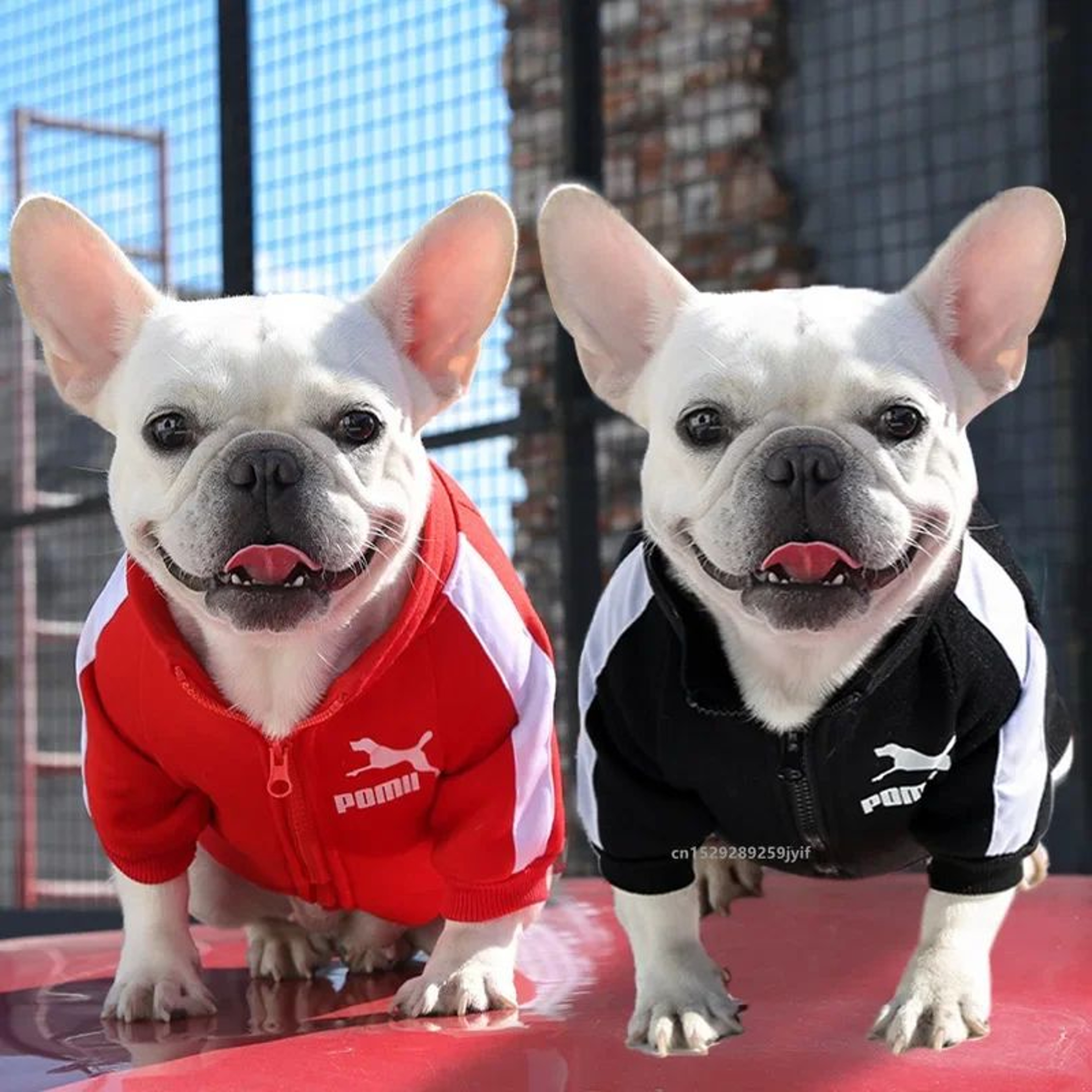 Winter Baseball Dog Jacket For Small  Medium Dogs  Warm Puppy Pet Vest Coat 2