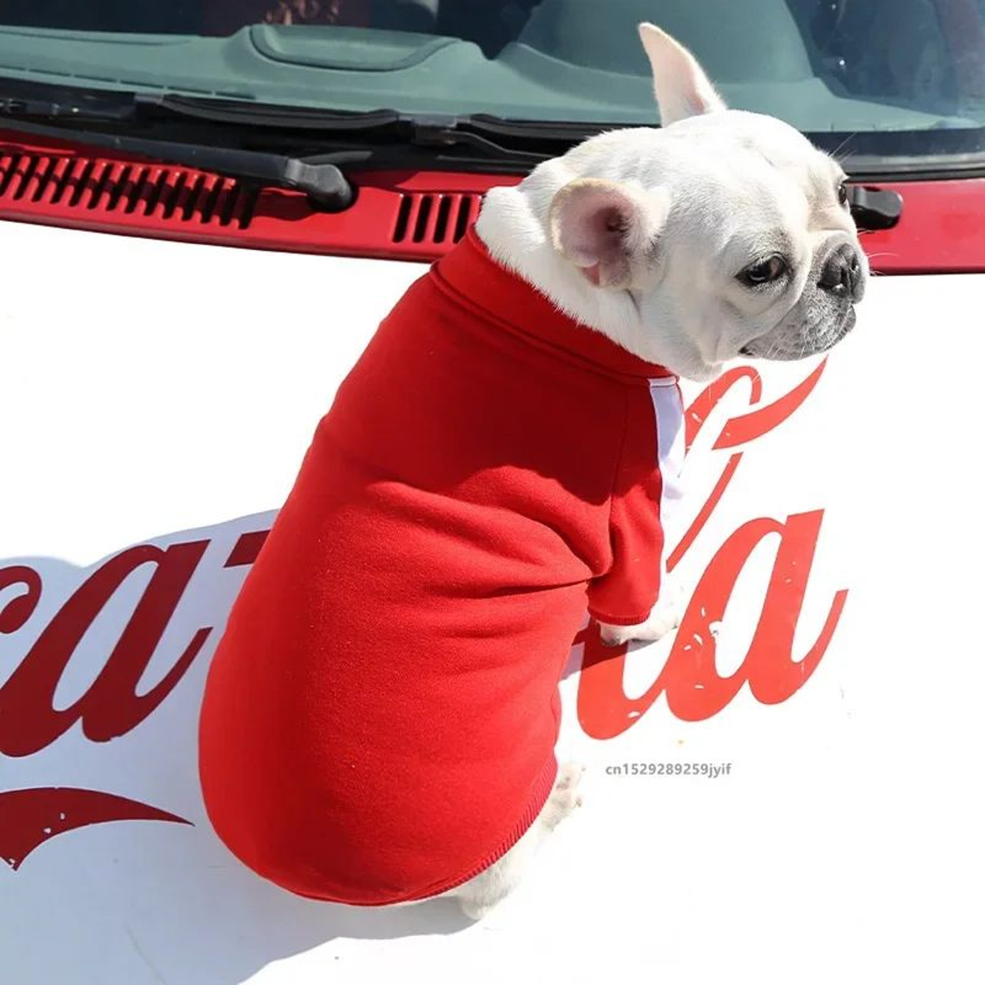 Winter Baseball Dog Jacket For Small  Medium Dogs  Warm Puppy Pet Vest Coat 5