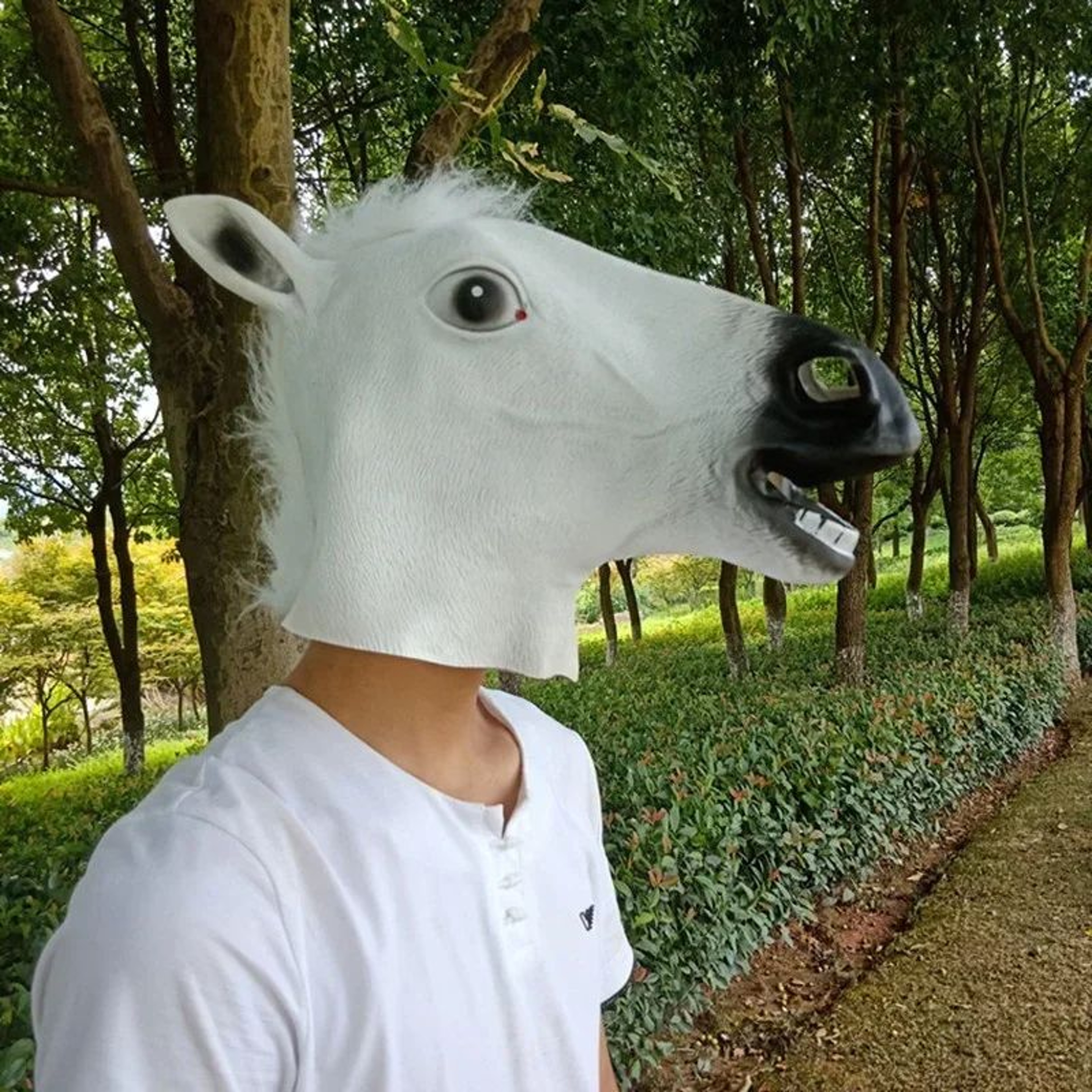Realistic Horse Head Mask Costume For Halloween Cosplay  Party Pranks 3