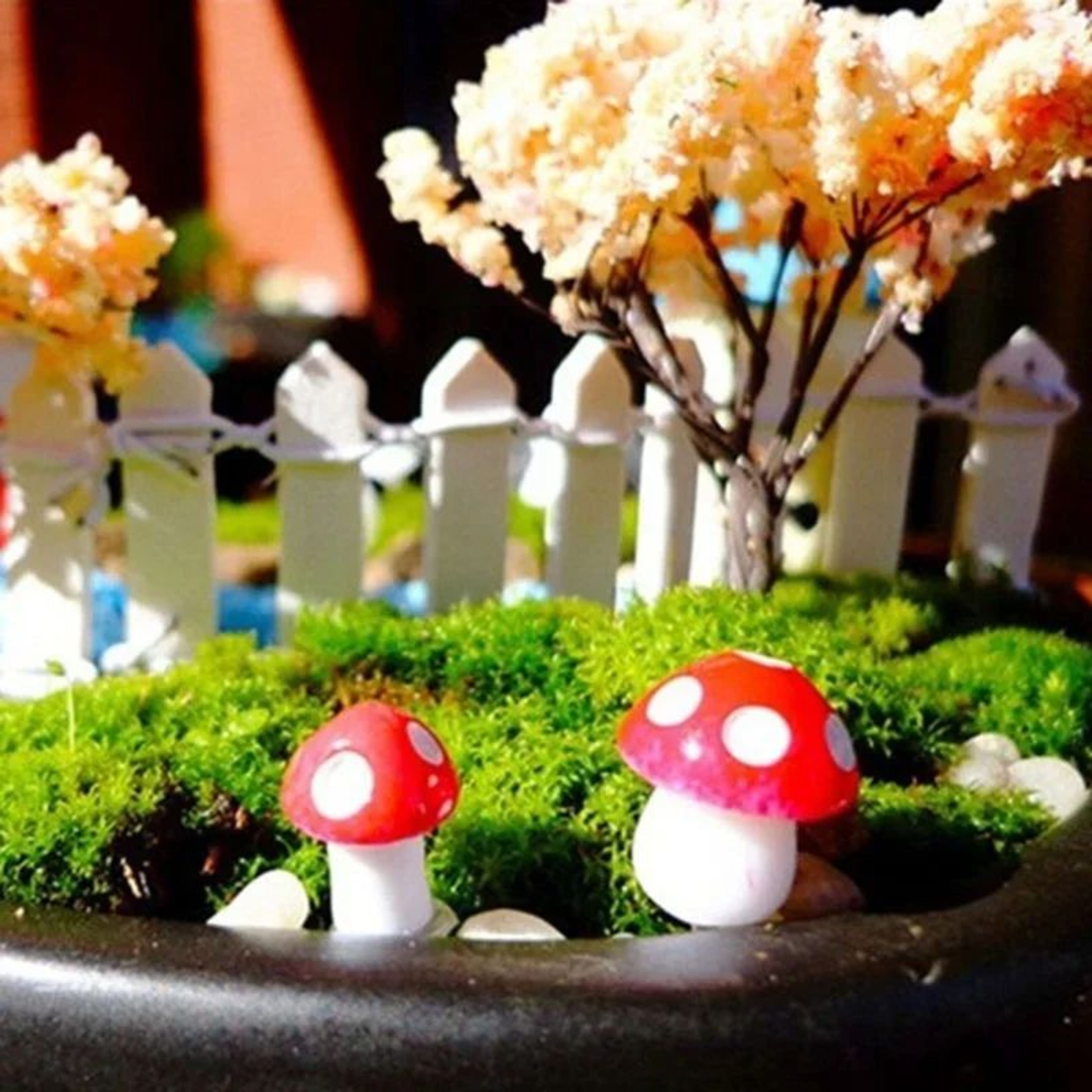 Mini Mushroom Miniatures Garden Stakes 10100pcs  Fairy Garden Accessories  Terrarium Decorations 1