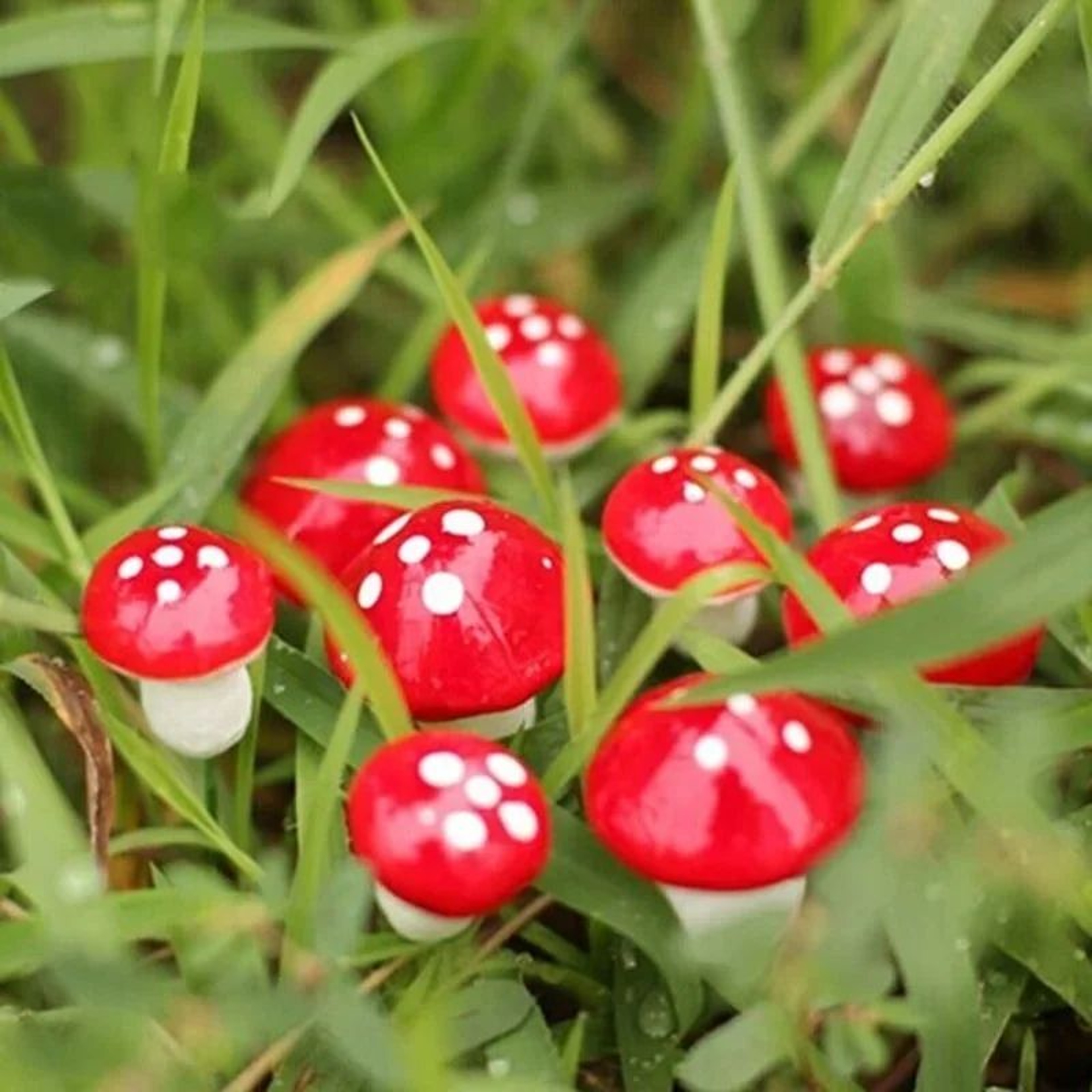 Mini Mushroom Miniatures Garden Stakes 10100pcs  Fairy Garden Accessories  Terrarium Decorations 2