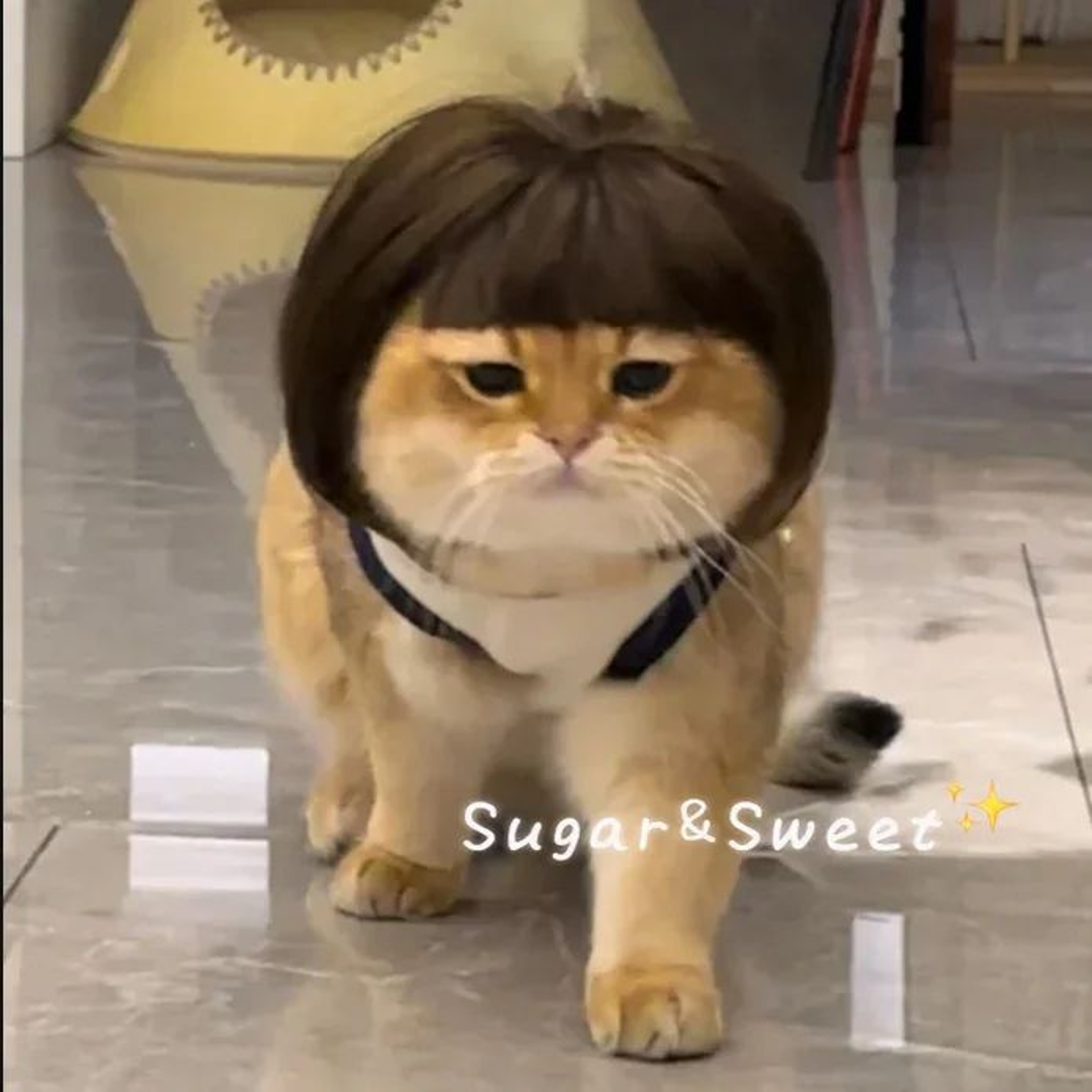 Funny Dog Wig With Bangs  Braids  Adjustable Pet Cosplay Wig For Cats  Dogs Party Costume Headgear 0