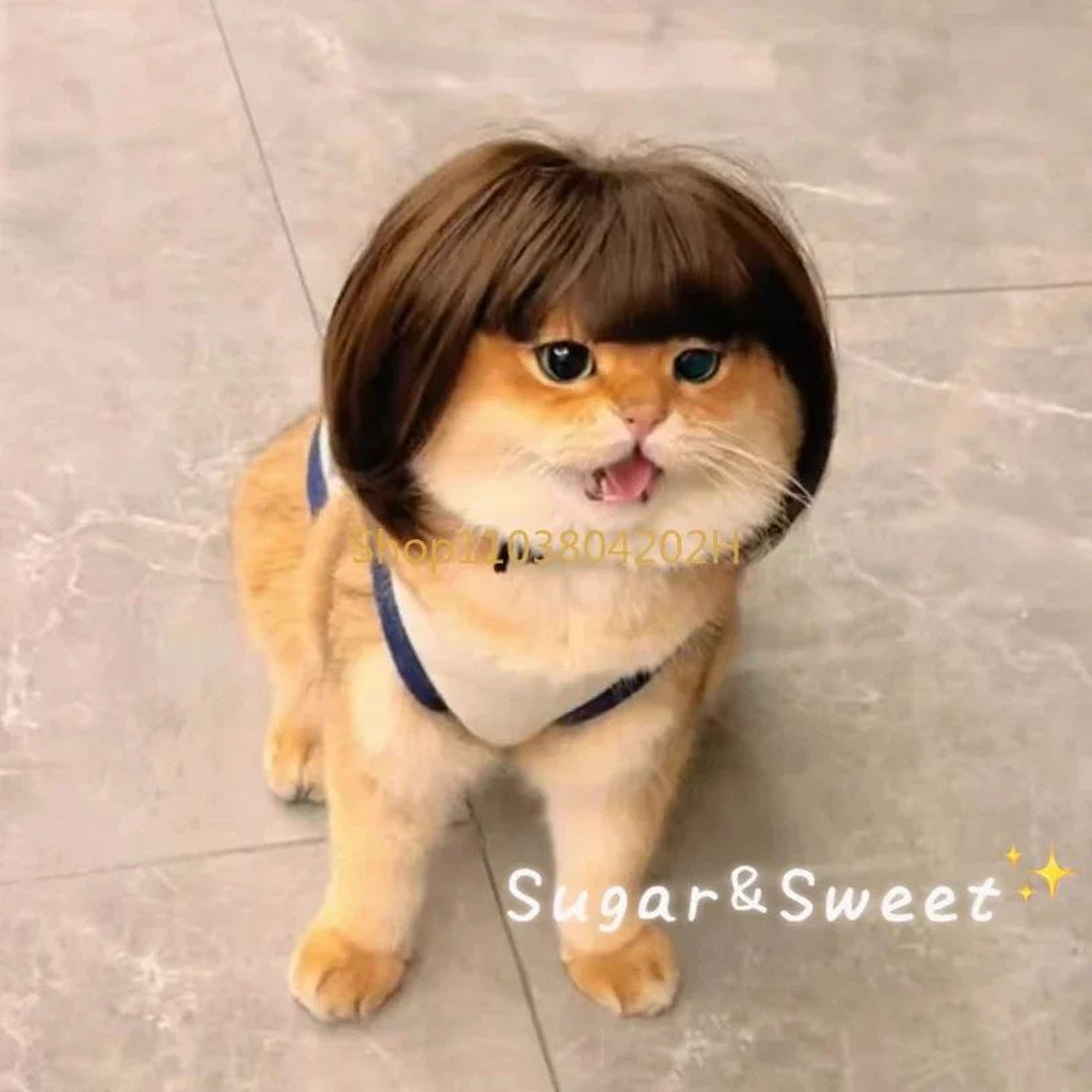 Funny Dog Wig With Bangs  Braids  Adjustable Pet Cosplay Wig For Cats  Dogs Party Costume Headgear 2