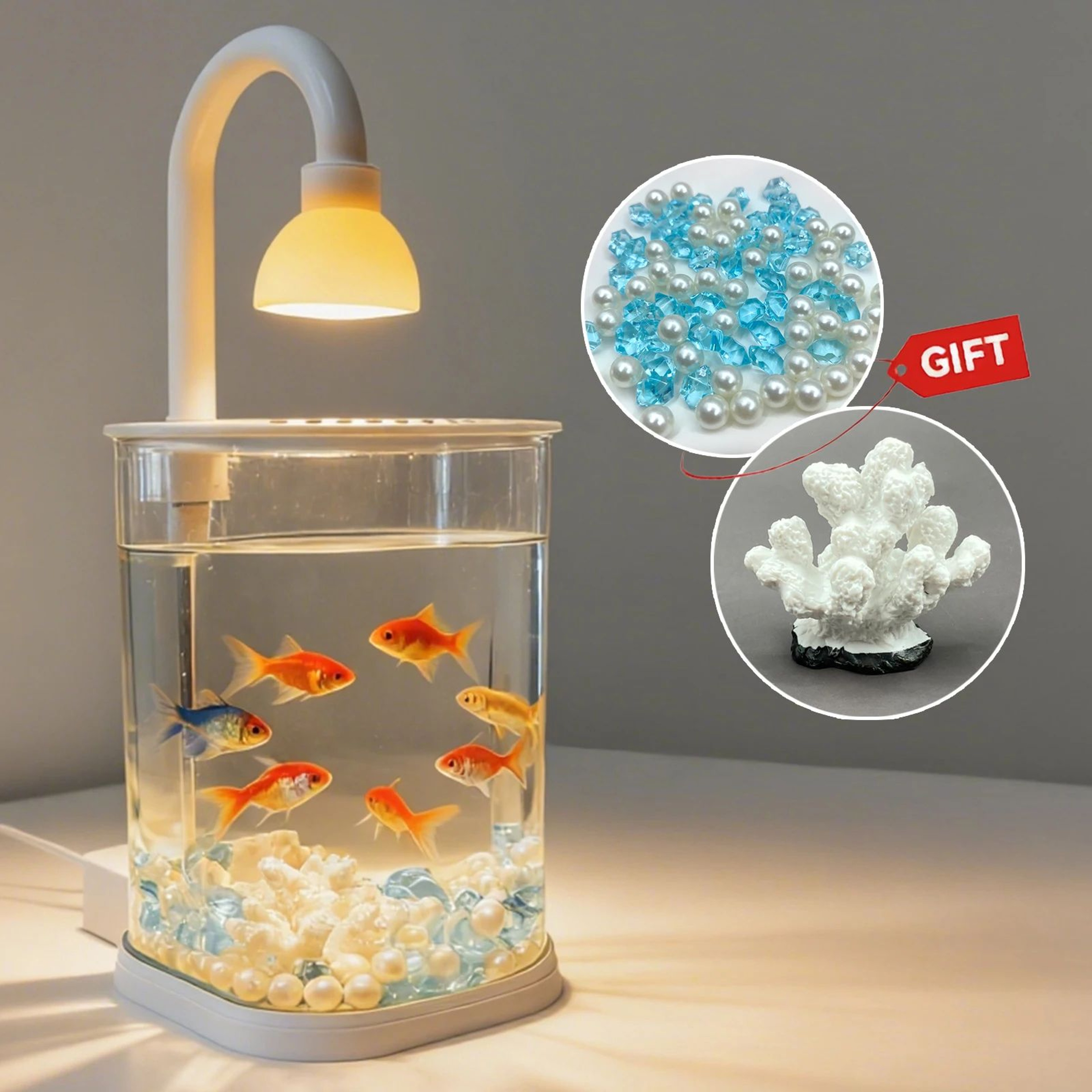 Desktop Aquarium Starter Kit With LED Light  Small Betta Fish Tank For Kids Home  Office 0