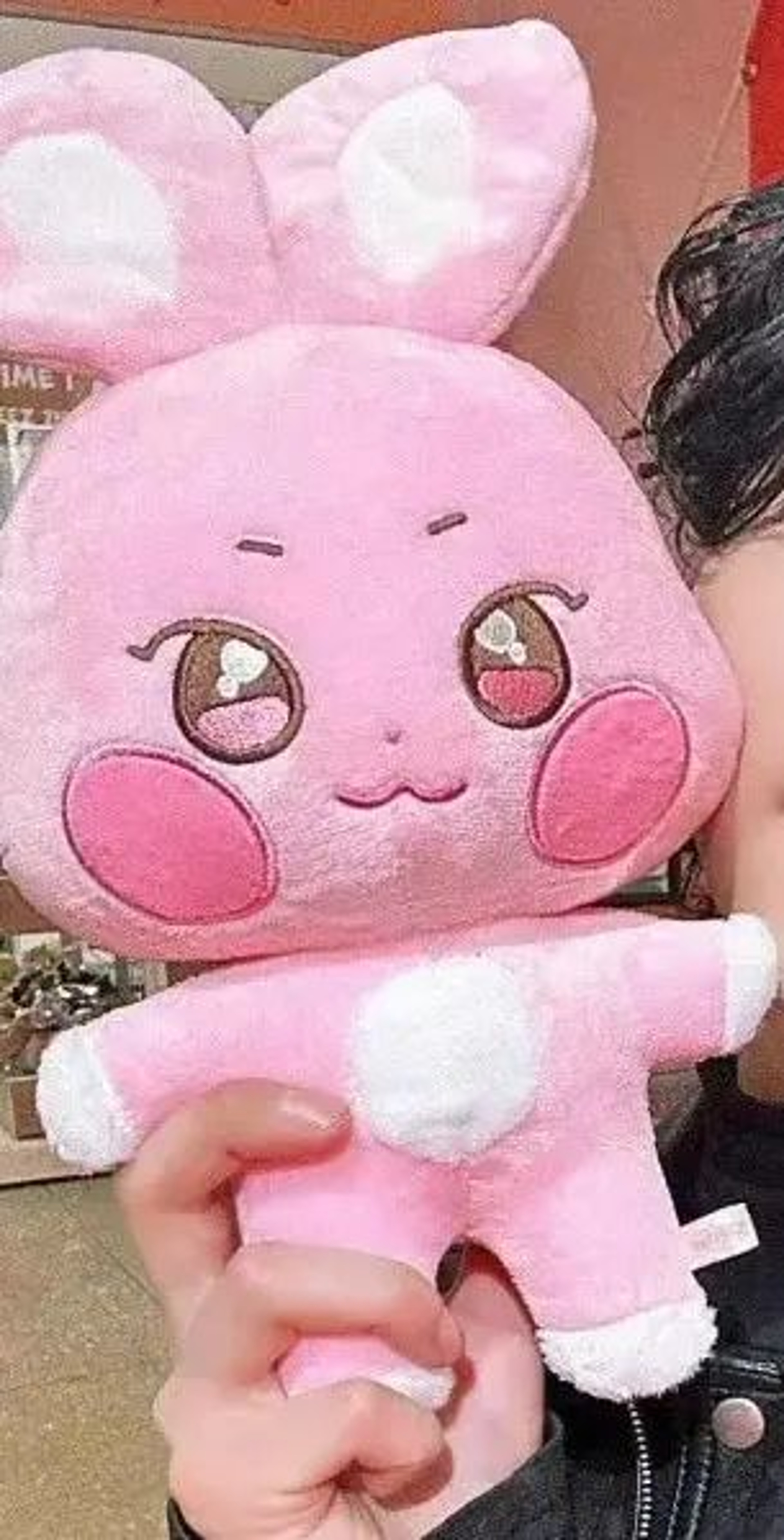 Aniteez Plush Doll  ATEEZ Plush Keychain  Kawaii Stuffed Animal Room Decor Collectible 4