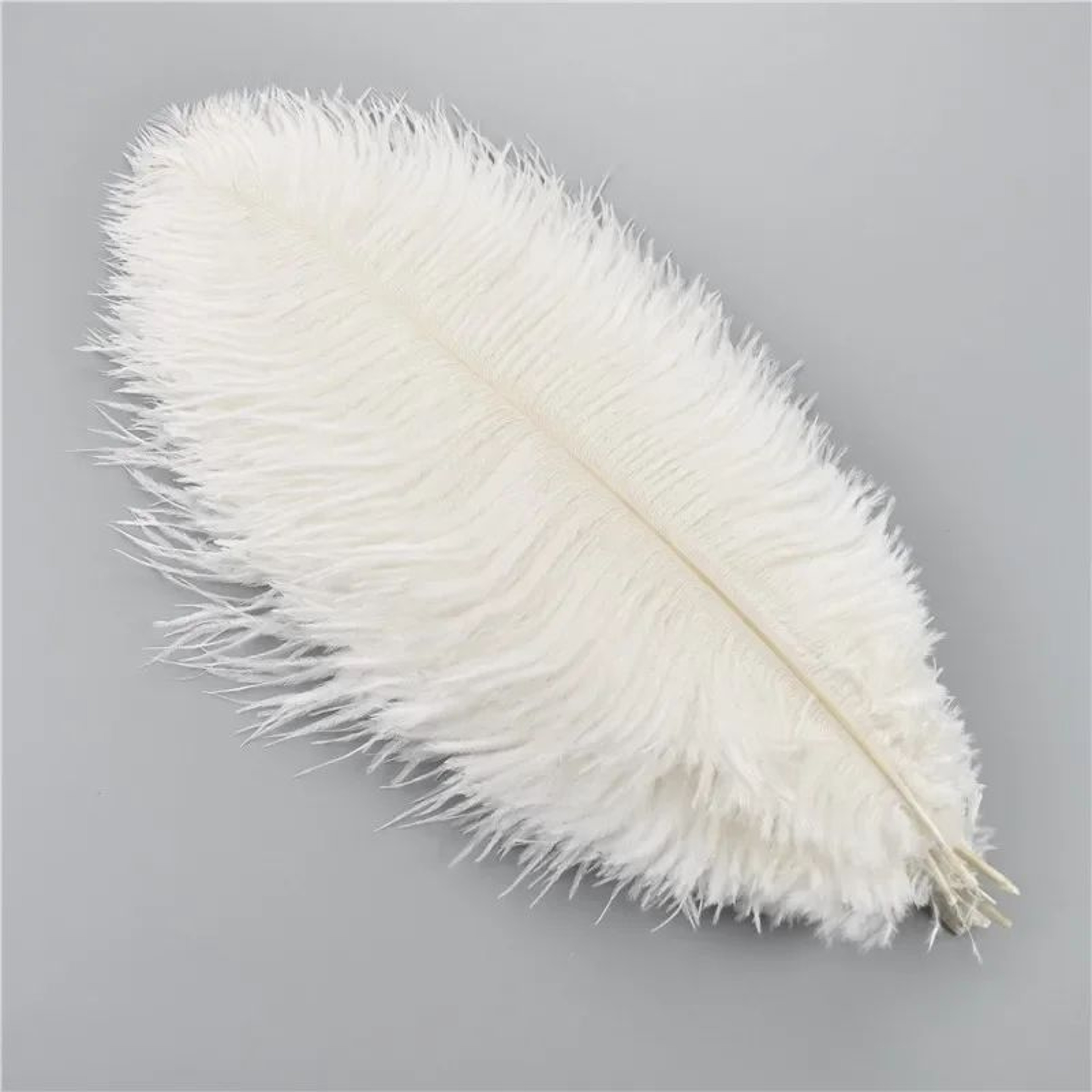 10Pack Colored Ostrich Feathers For Crafts  Wedding Centerpieces 620in 0