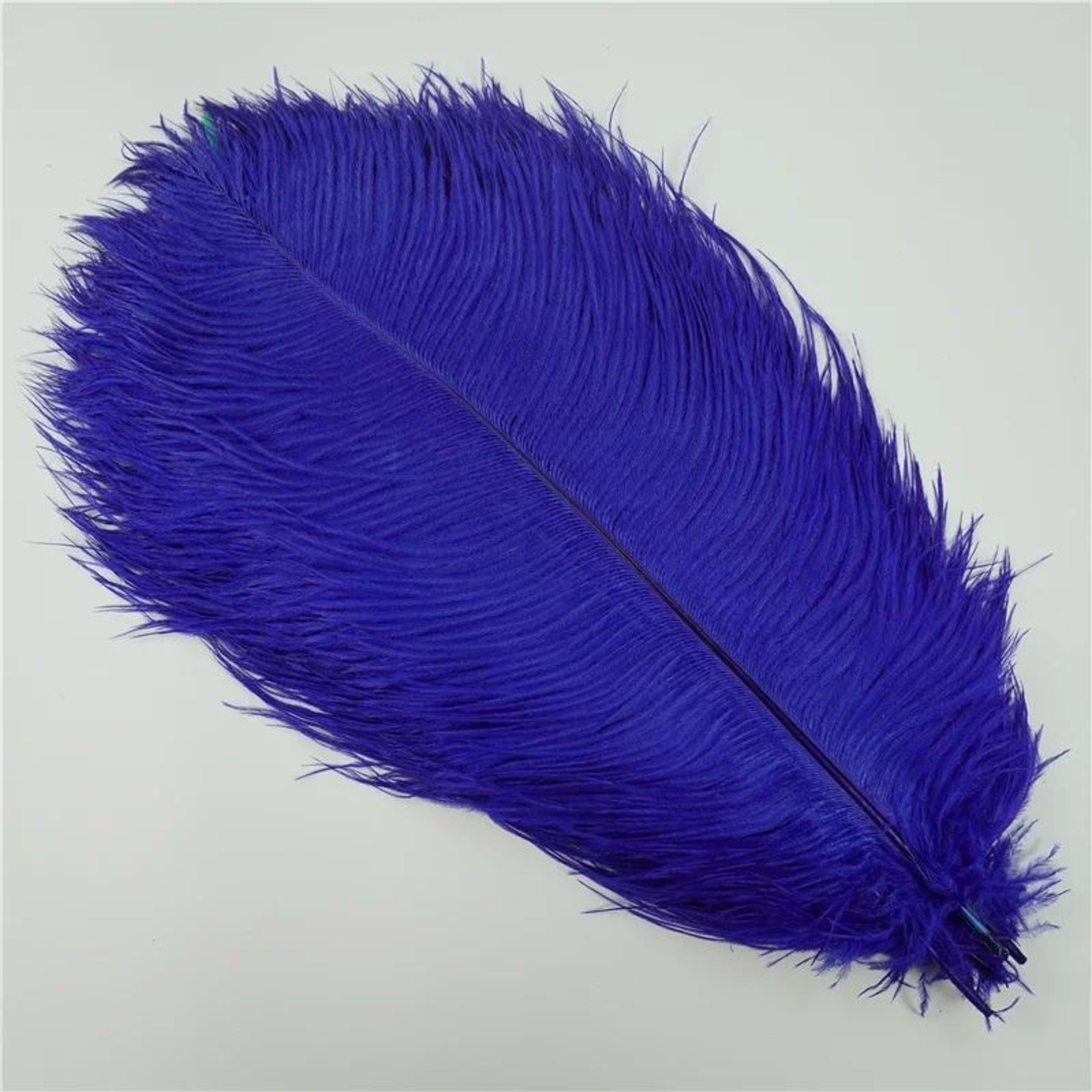 10Pack Colored Ostrich Feathers For Crafts  Wedding Centerpieces 620in 9