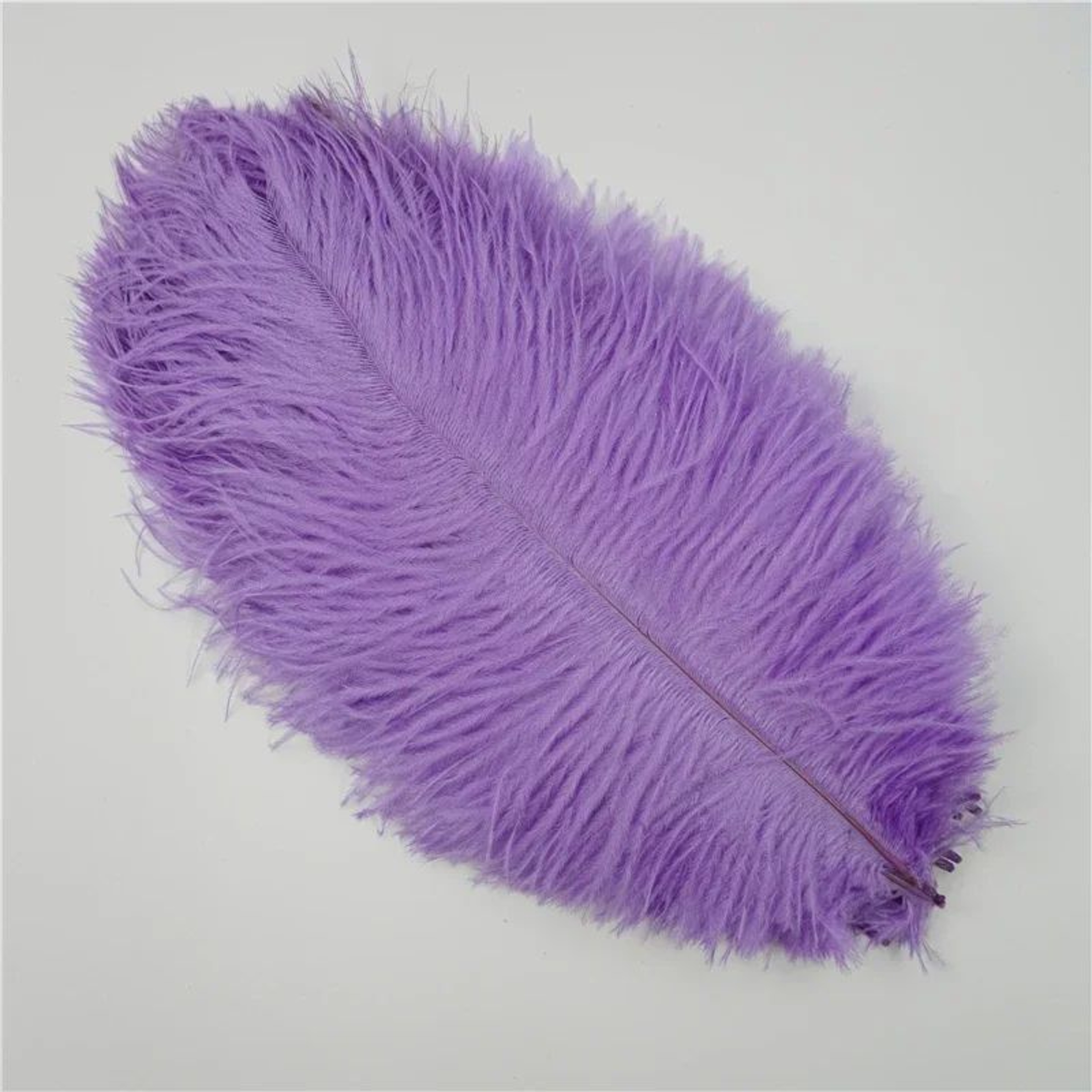 10Pack Colored Ostrich Feathers For Crafts  Wedding Centerpieces 620in 11