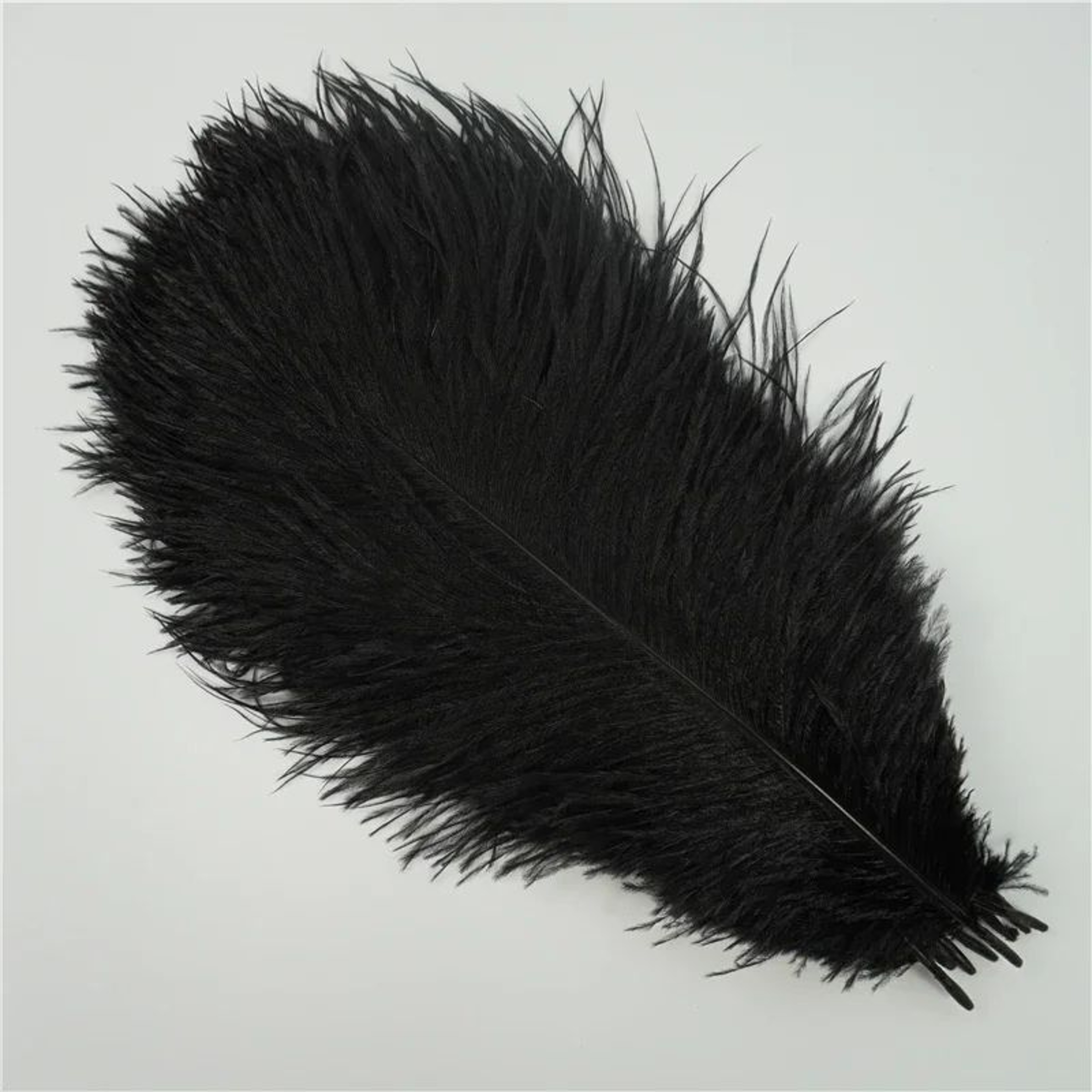 10Pack Colored Ostrich Feathers For Crafts  Wedding Centerpieces 620in 1