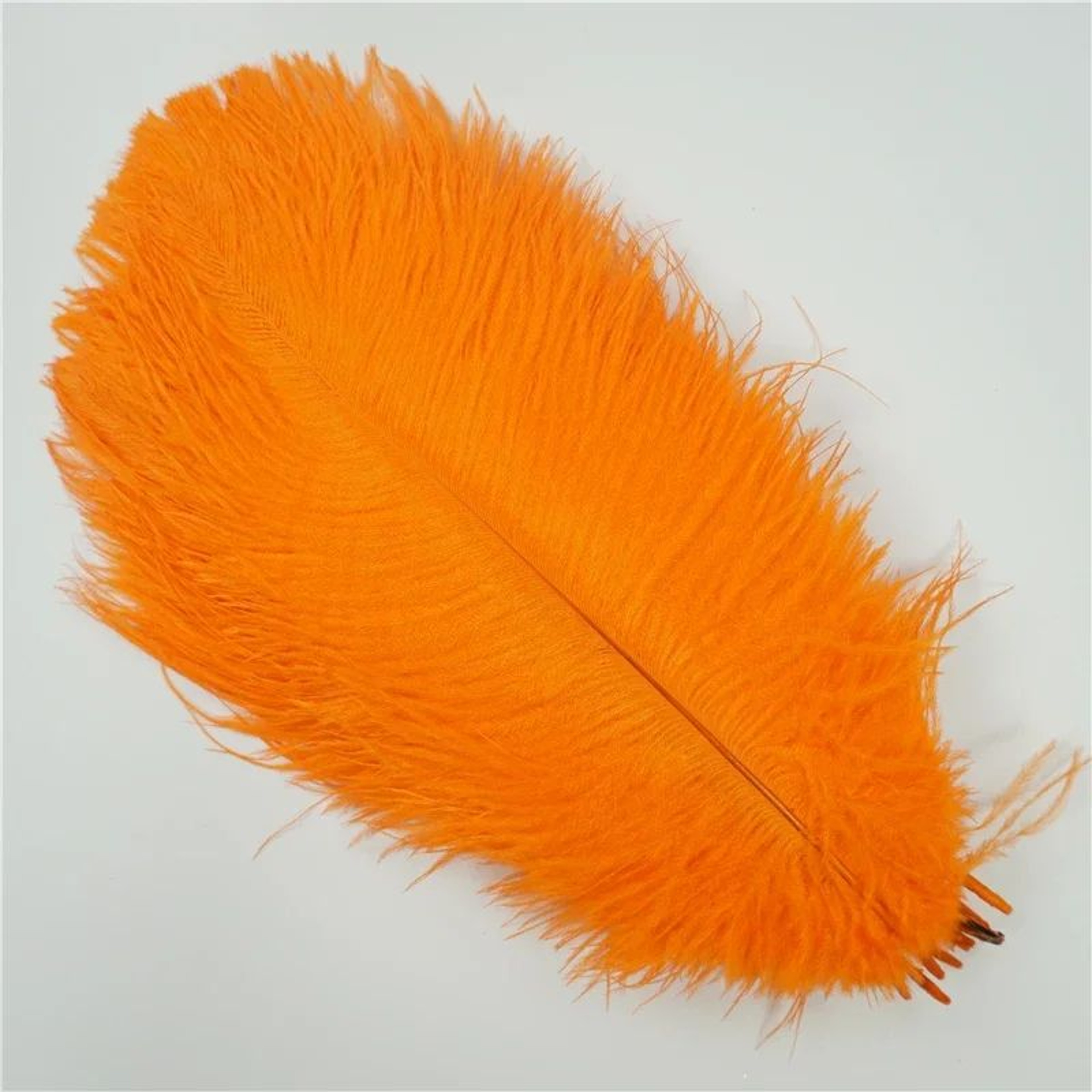 10Pack Colored Ostrich Feathers For Crafts  Wedding Centerpieces 620in 4