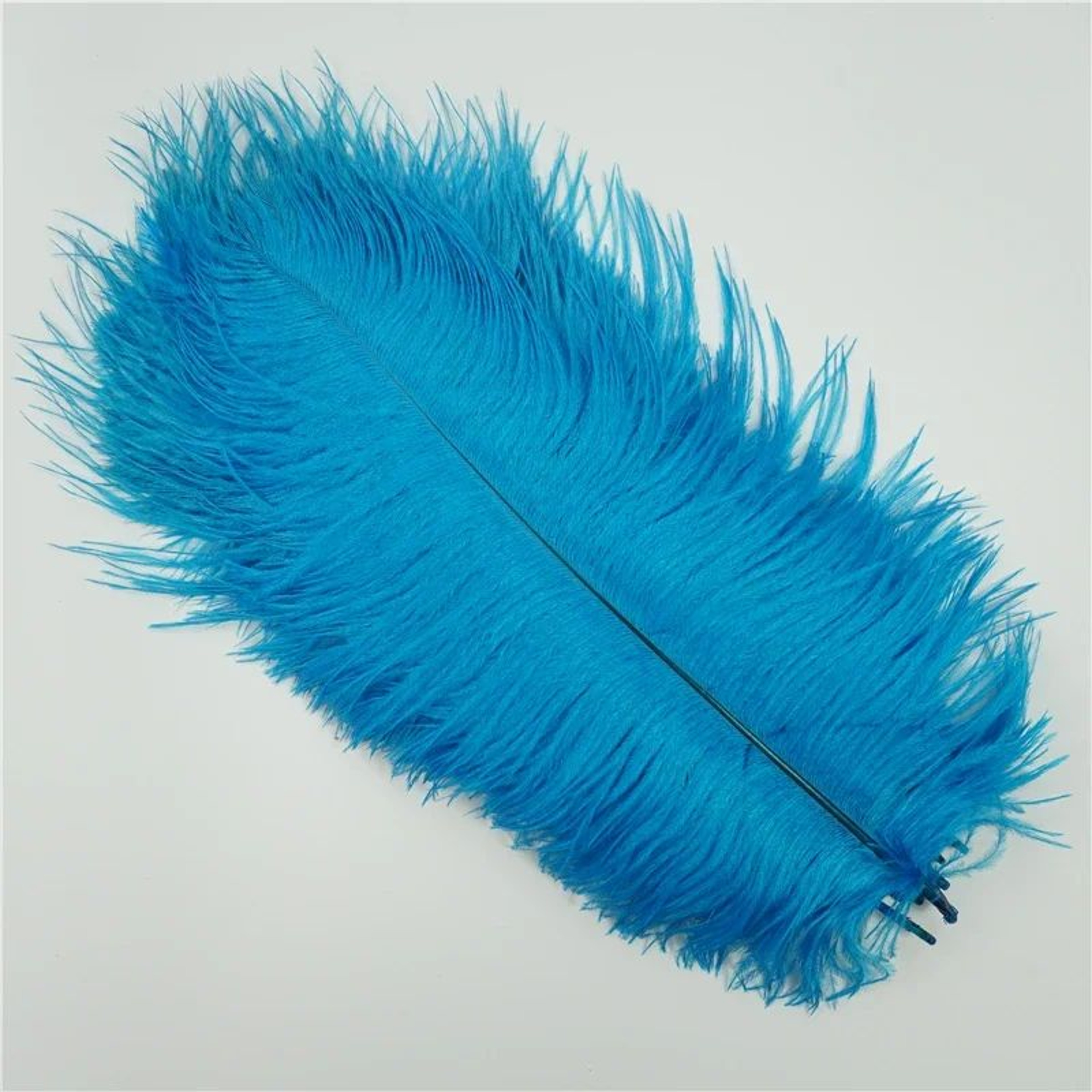 10Pack Colored Ostrich Feathers For Crafts  Wedding Centerpieces 620in 8