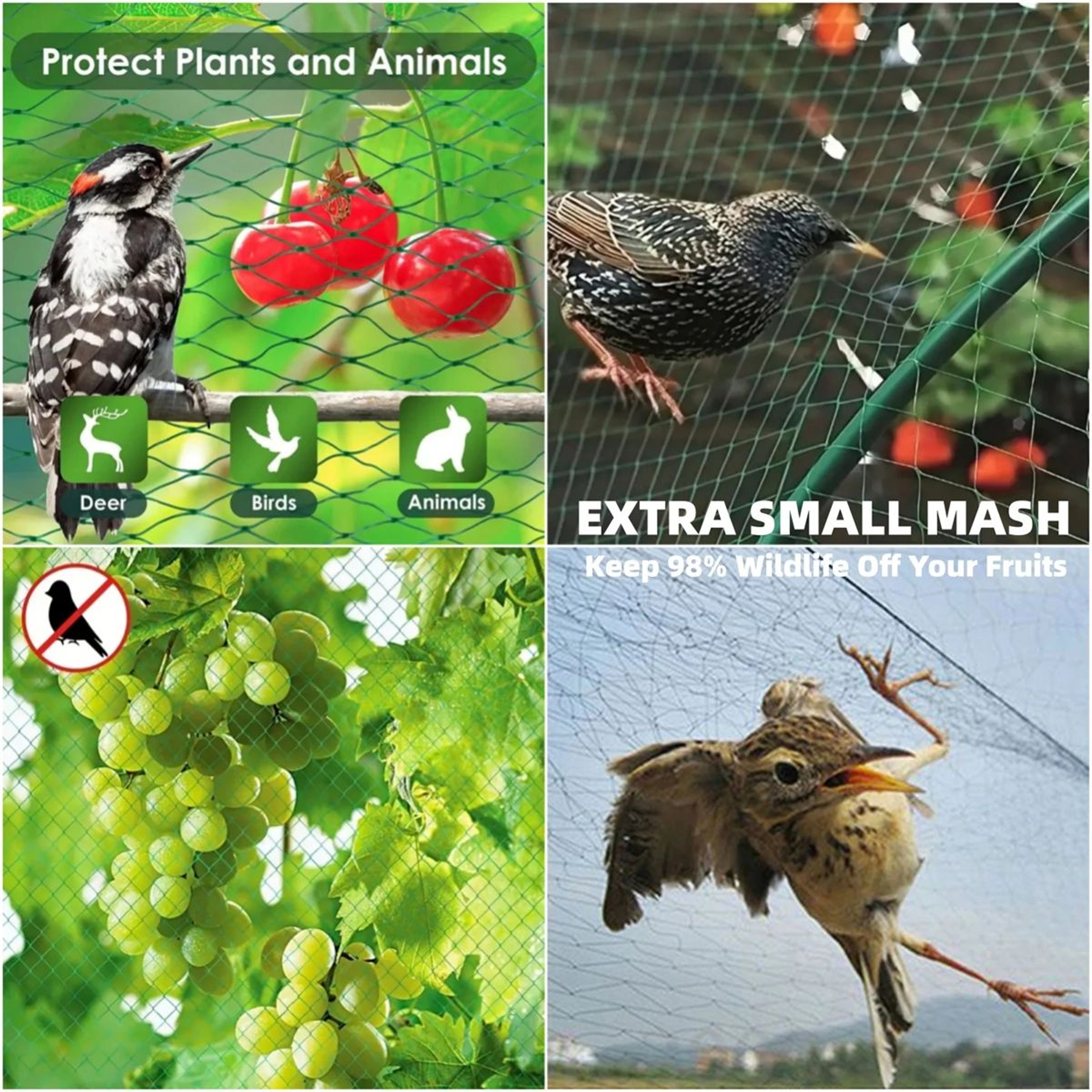 BirdProof Nylon Garden Netting 20mm Mesh  Anti Bird Net For Fruit Trees Vegetables  Orchards 4
