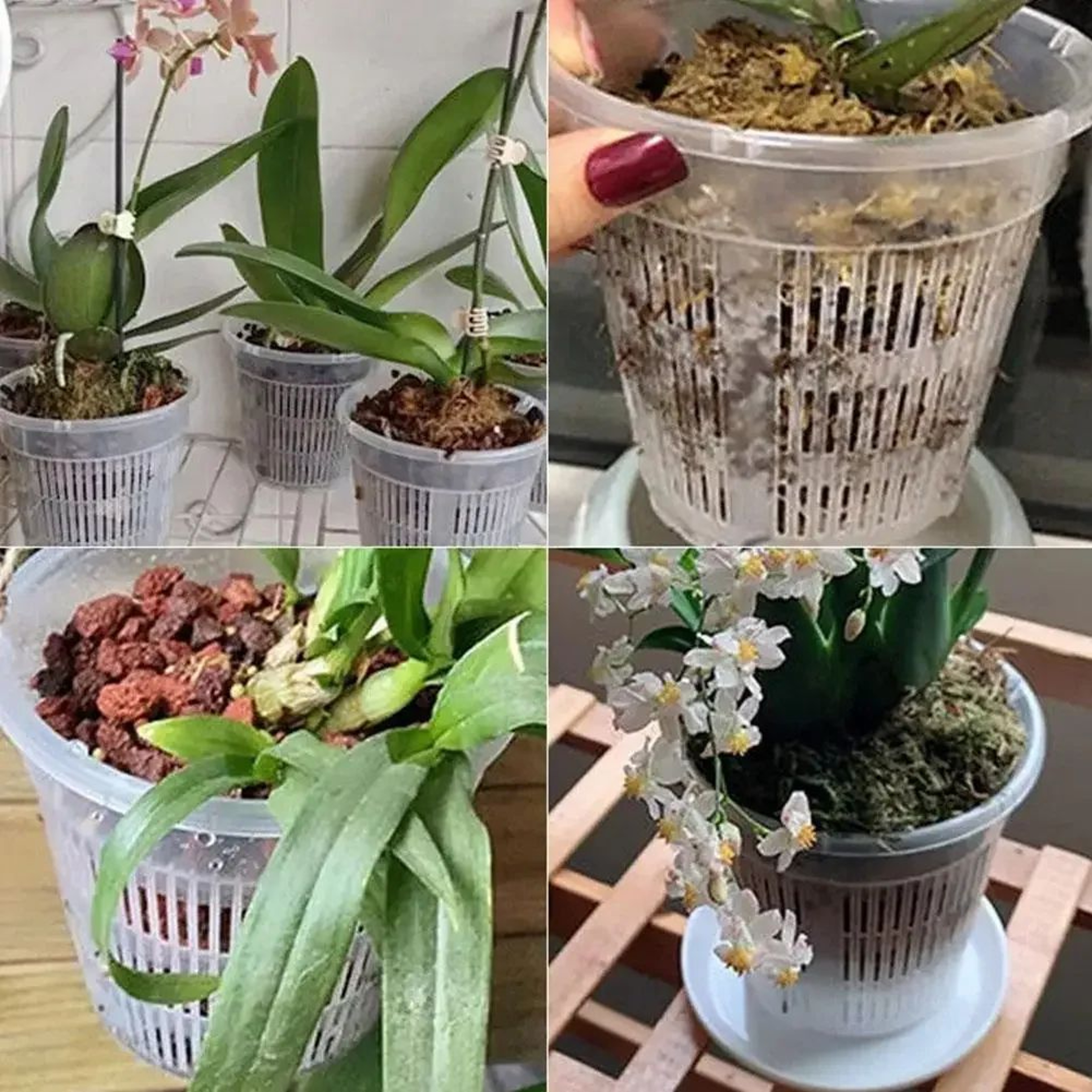 Breathable Mesh Orchid Pots  Transparent Root Control Flowerpots With Drainage 5Pack 2