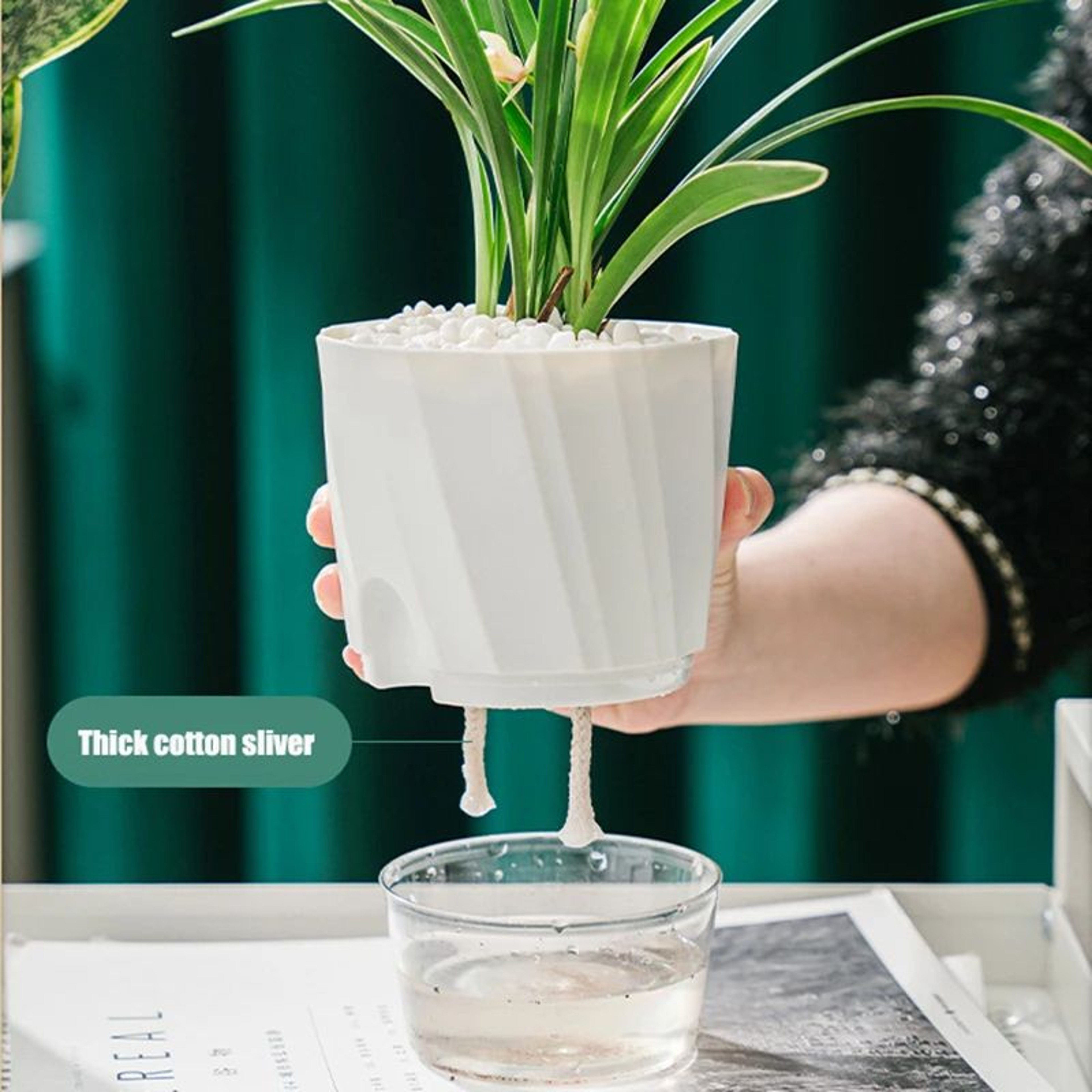 SmartGrow Transparent Self Watering Planter  Hydroponic Flower Pot  Automatic WaterAbsorbing Indoor 4
