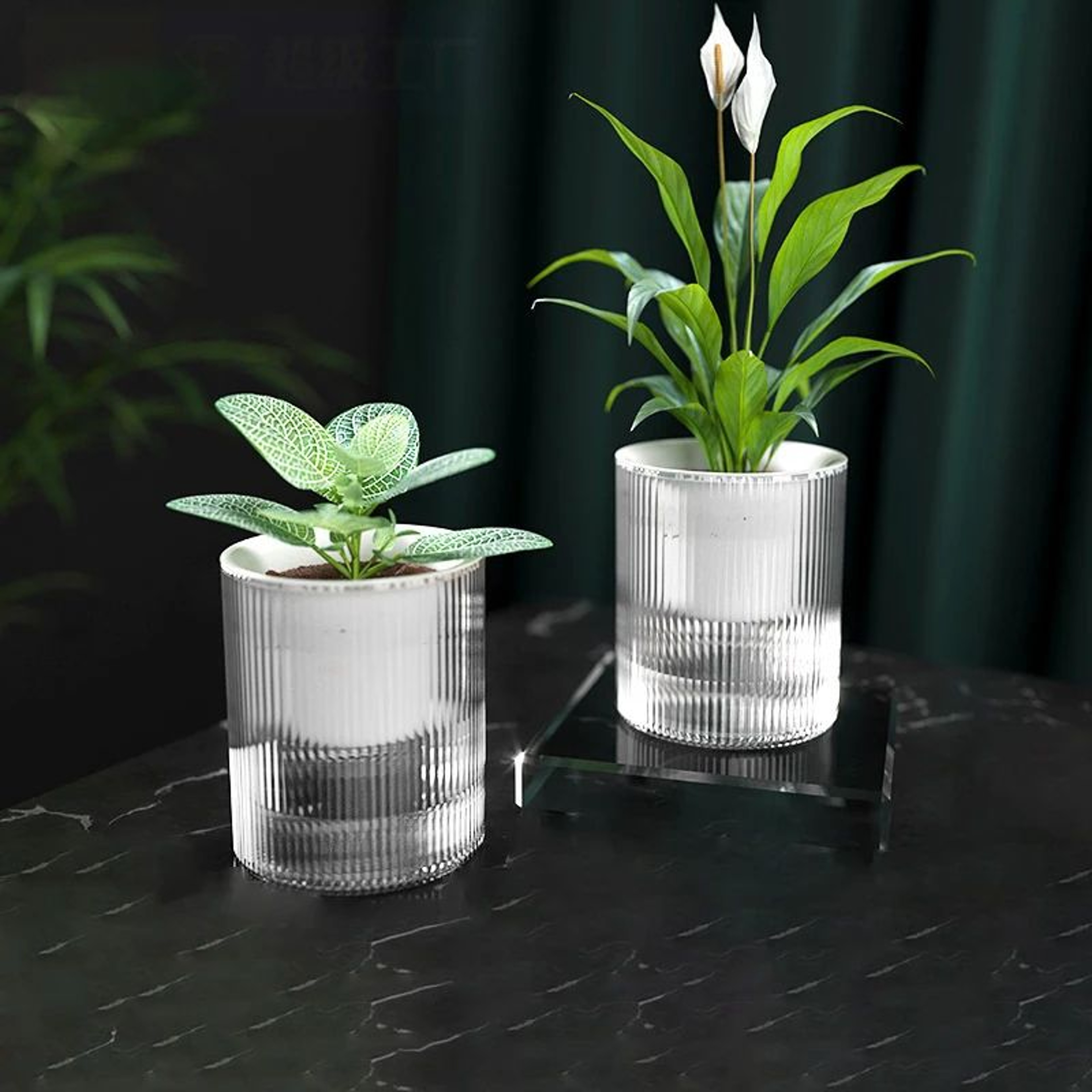 SelfWatering Hydroponic Planter Pot For Indoor Succulents And Tabletop Decor 0