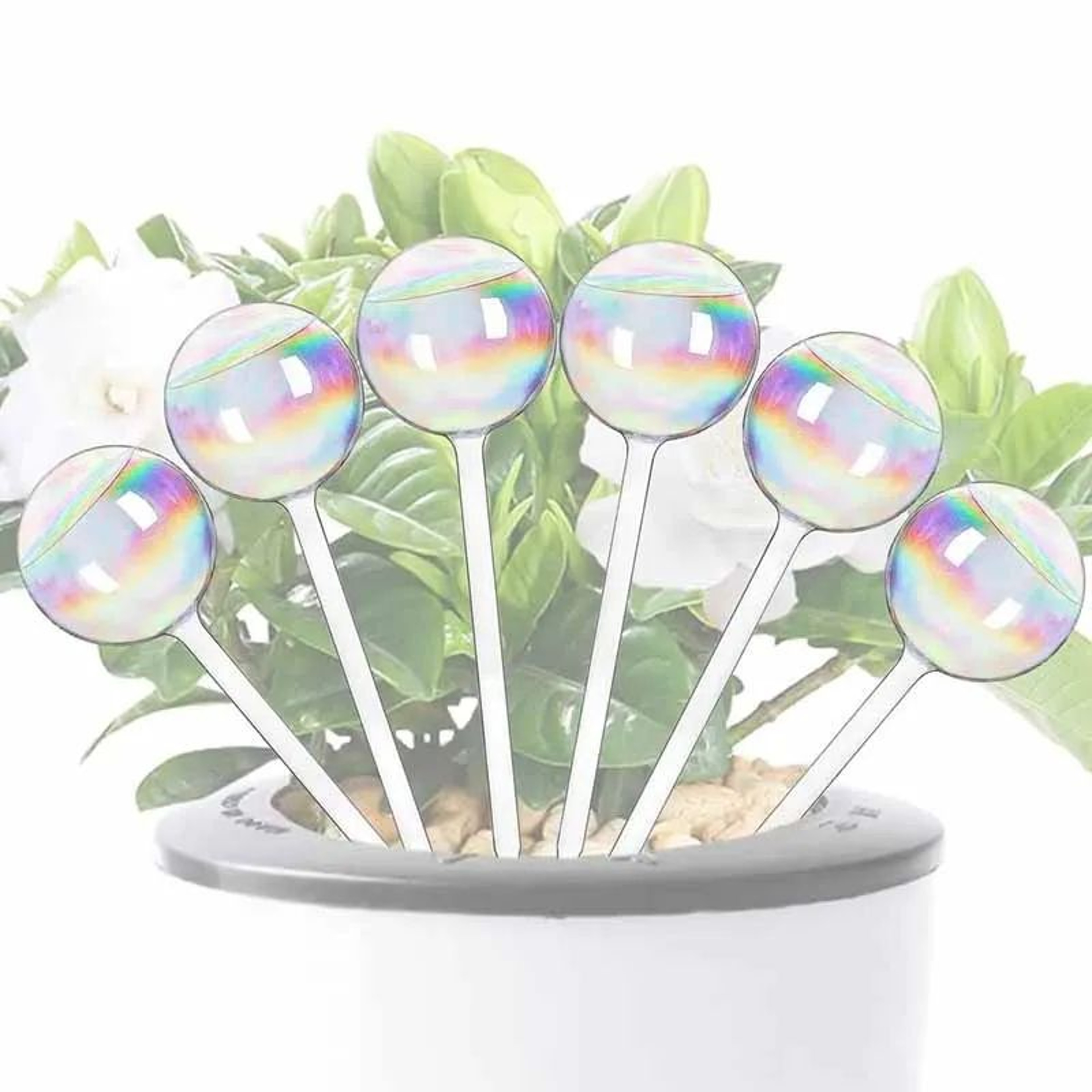 Glass SelfWatering Bulb Spikes For Potted Plants  SlowRelease Plant Watering Globes 12 Pack 4